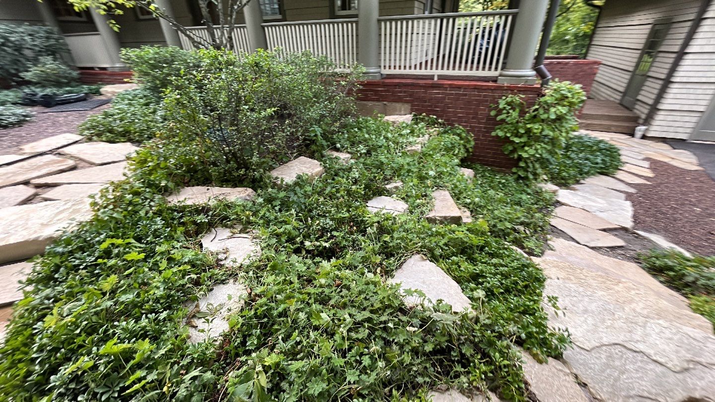 natural stone using Algaecide, soft wash soap by Northern Power Washing LLC.