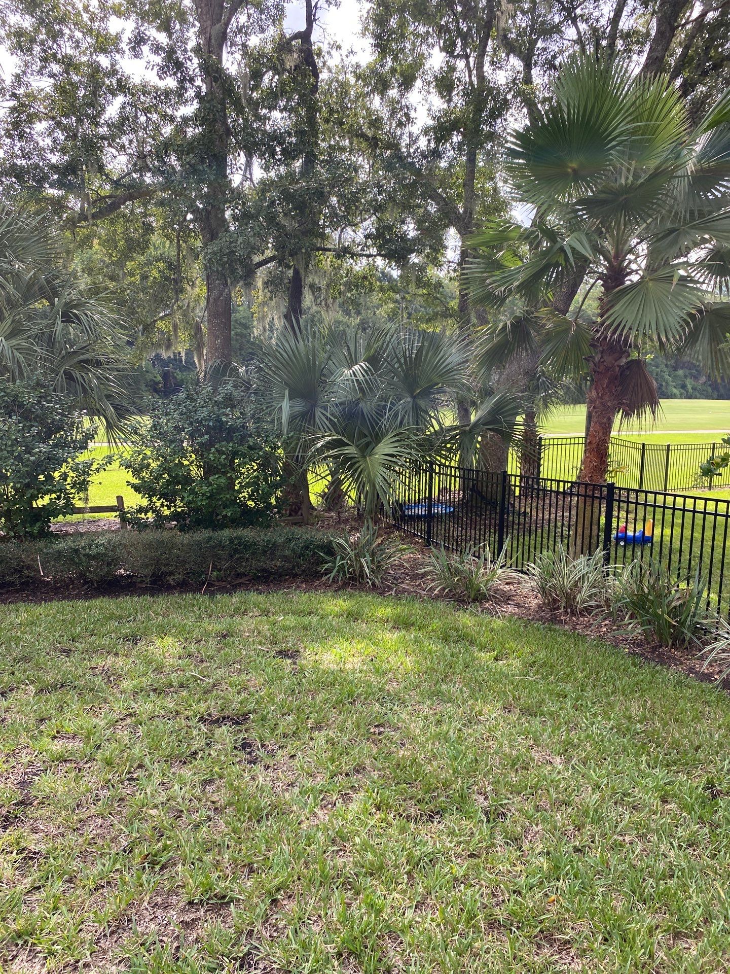 Deerwood Residence | Palm Tree Trimming by ProGreen Services