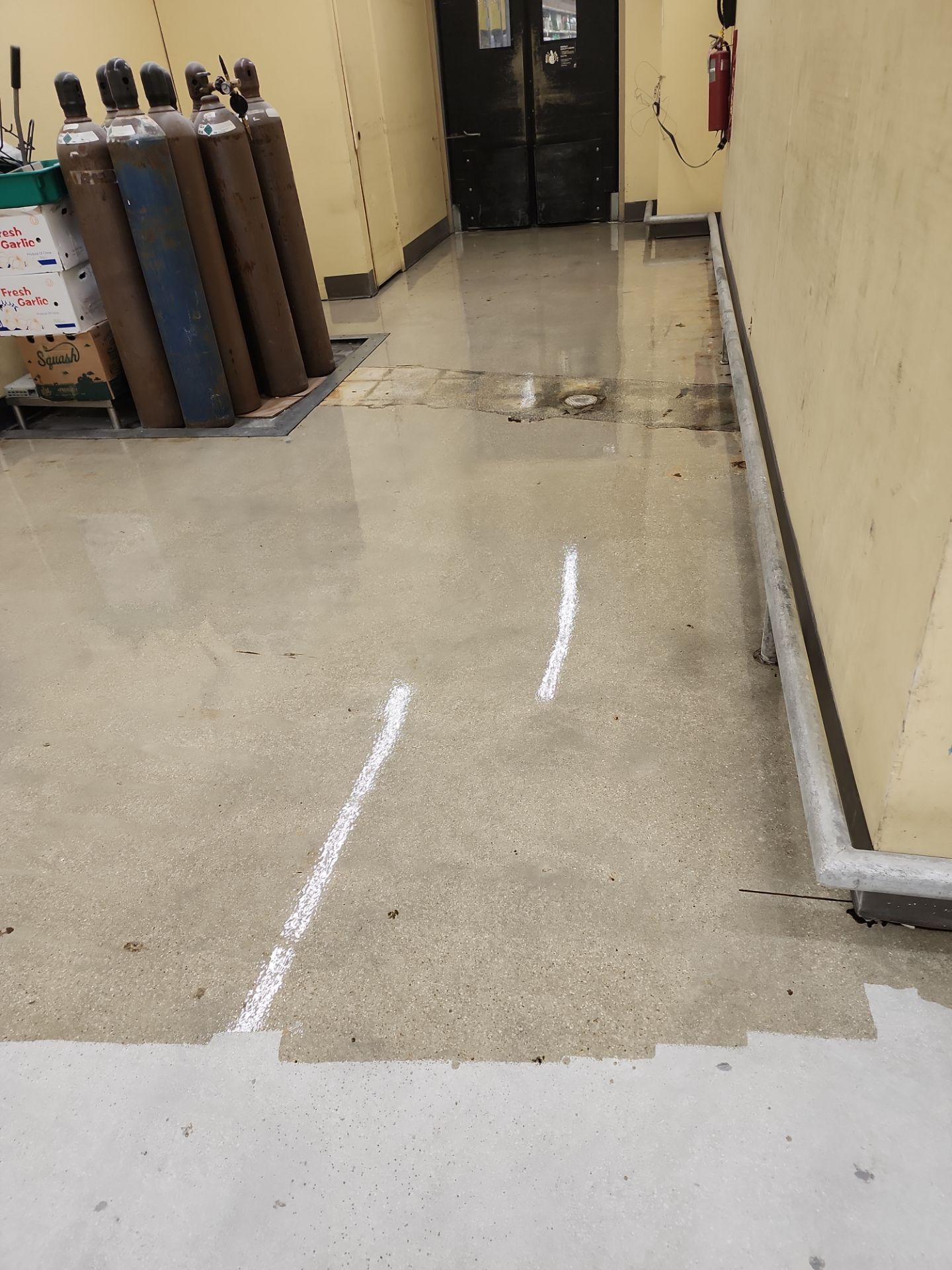 Fresco y Más Meat Processing Room Makeover by Seamless Surfaces