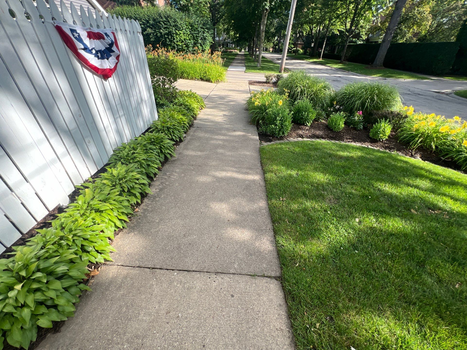 concrete cleaning using Algaecide, soft wash soap by Northern Power Washing LLC.