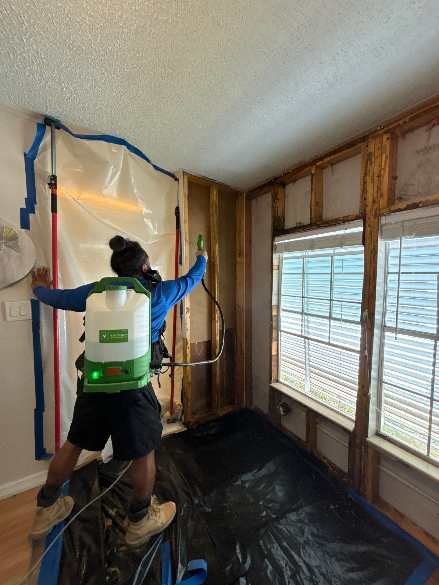 Mold Remediation Palmetto by Ampm Restoration Services 