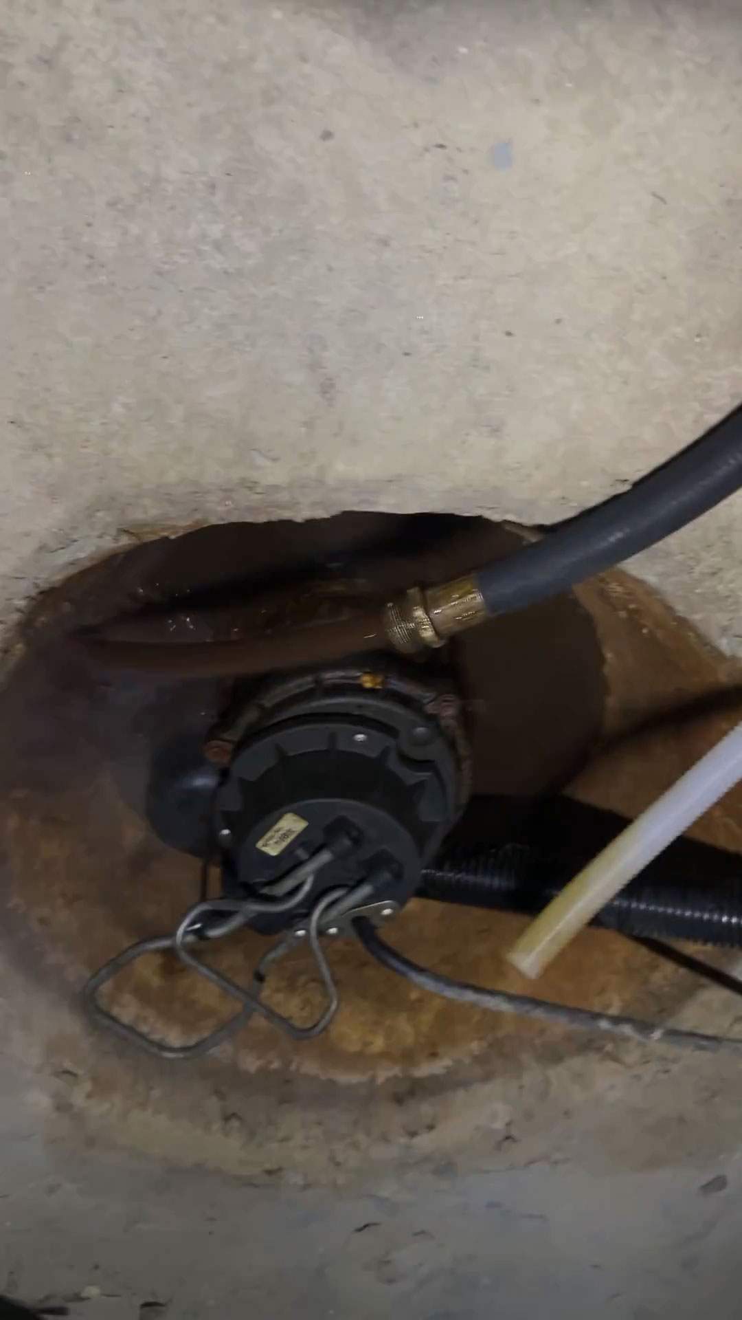 Diagnose Boiler Noise & Circulator Pump Replacement — Somerville, MA by FAGONE MECHANICAL