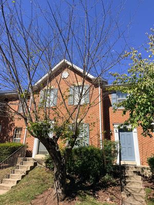 Atlas Pinnacle Shingle Roof Replacement and Deck Repair in Germantown