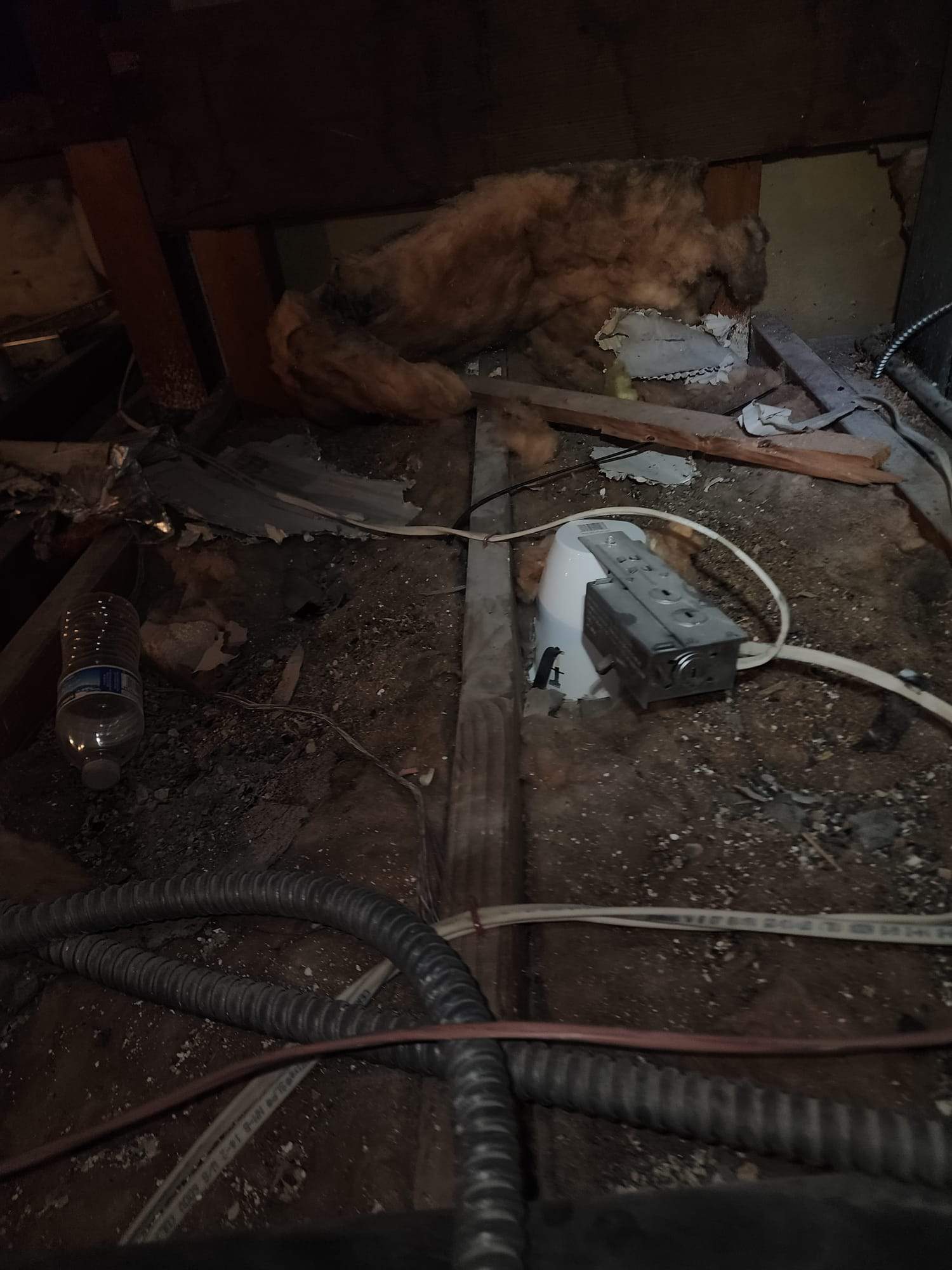 Project in Los Angeles by Advanced Attic Solutions