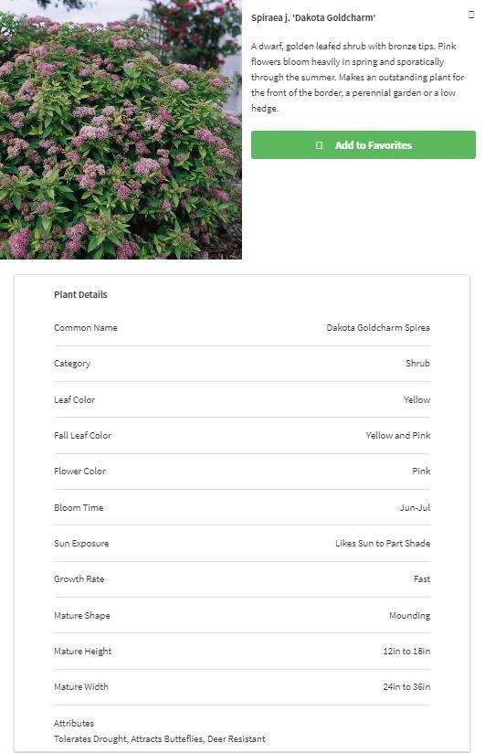 Spring Clean Up with additional Gravel Worl & Plant Installation by Reisenberg’s Lawn & Landscape, LLC