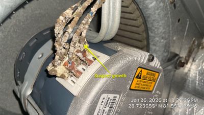 Air Duct Cleaning in Apopka