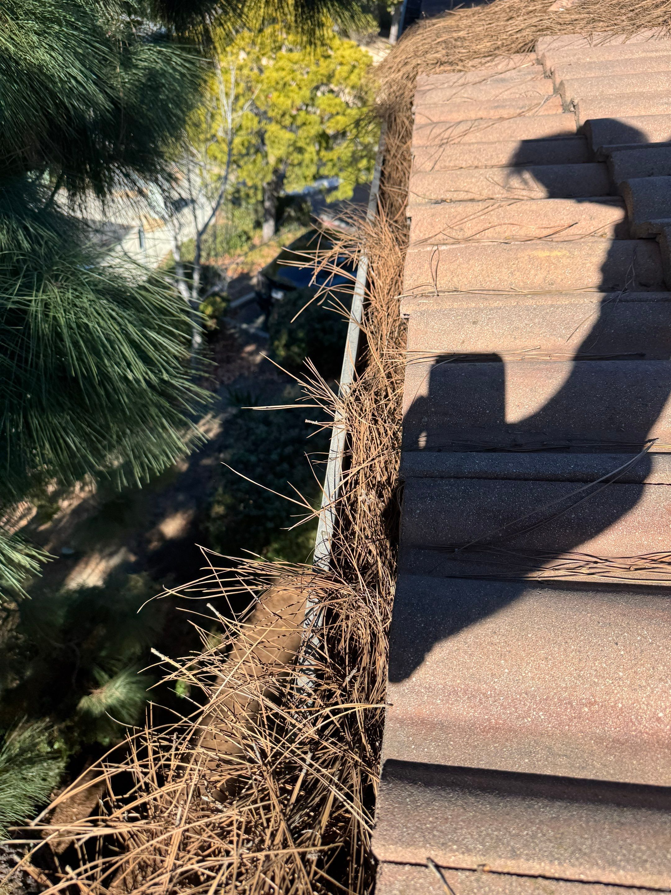HOA gutter cleaning before