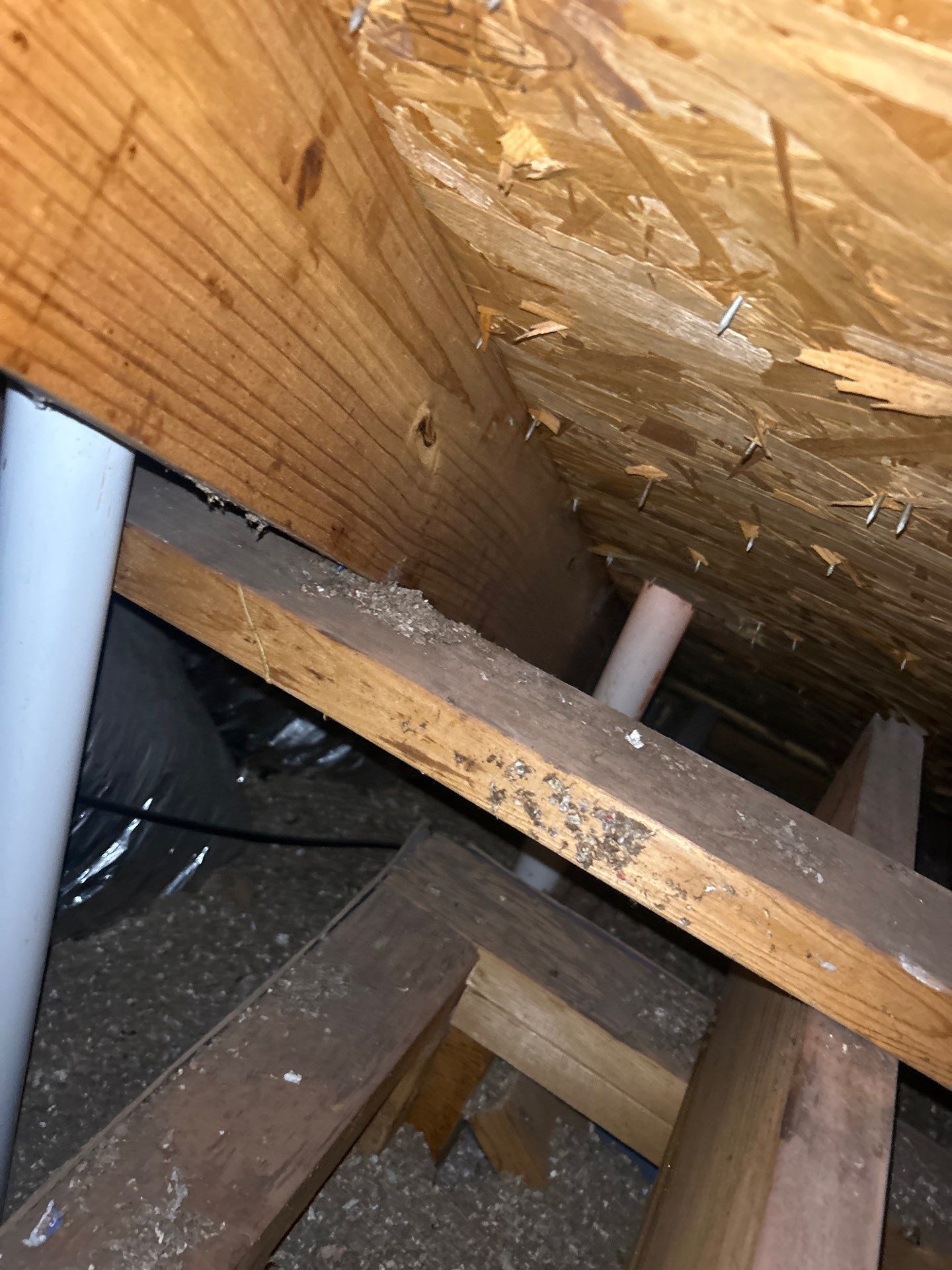 Roof Repair Spring by Roof Repair Company