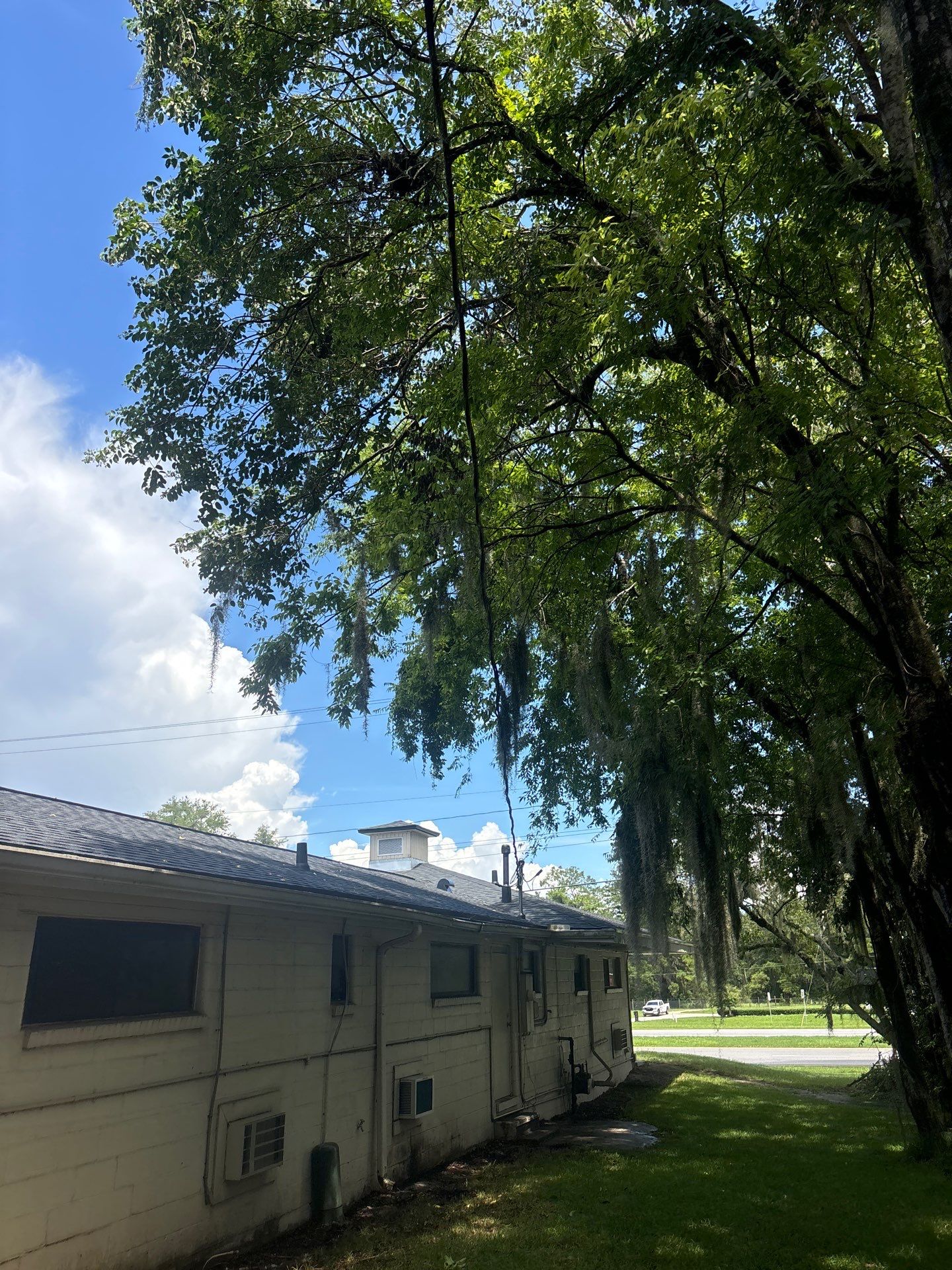 Project in Gainesville by True Force Roofing