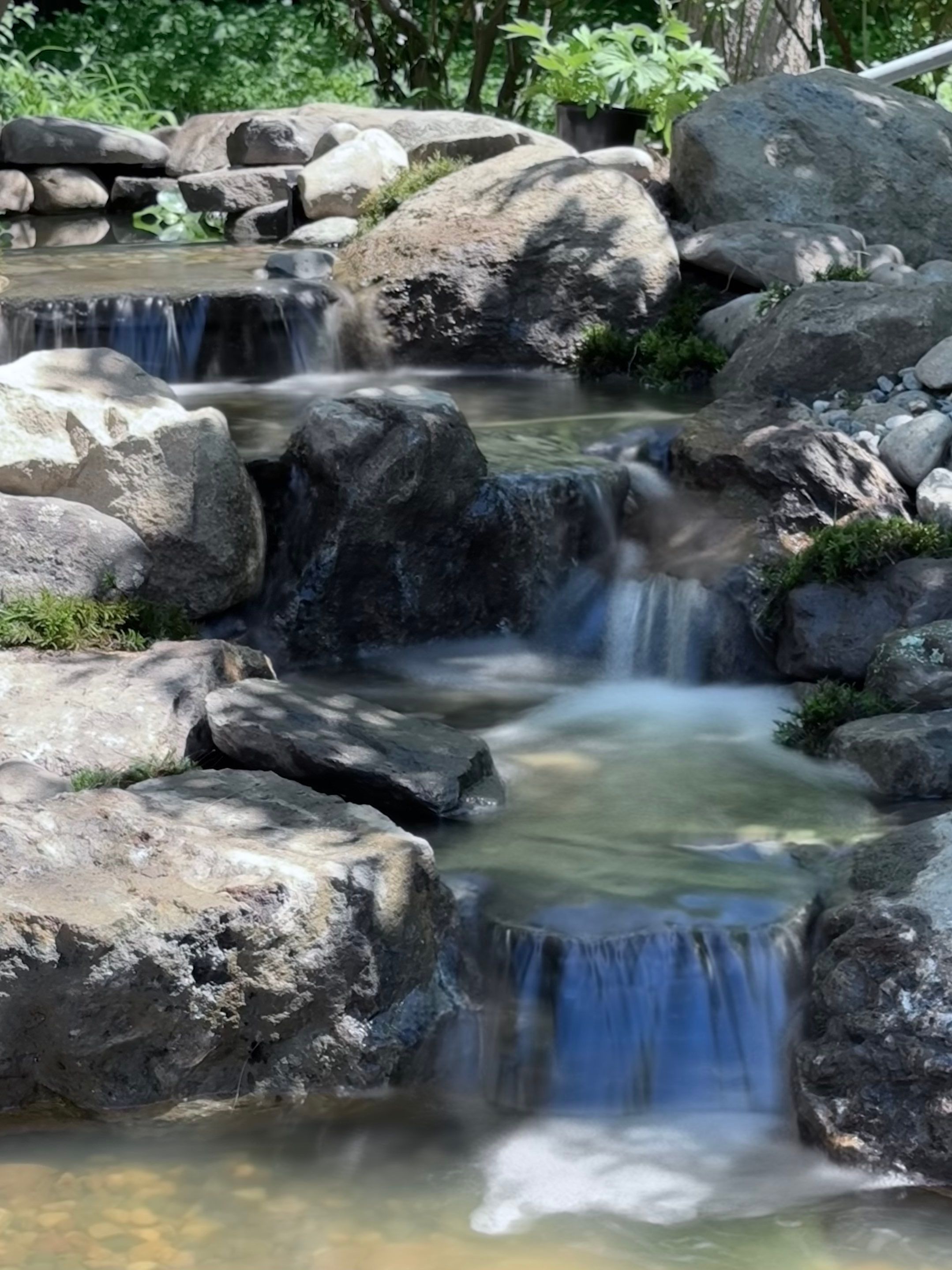 Complete Demo and Rebuild on a Small Pond in Amherst by Wicked Water Gardens