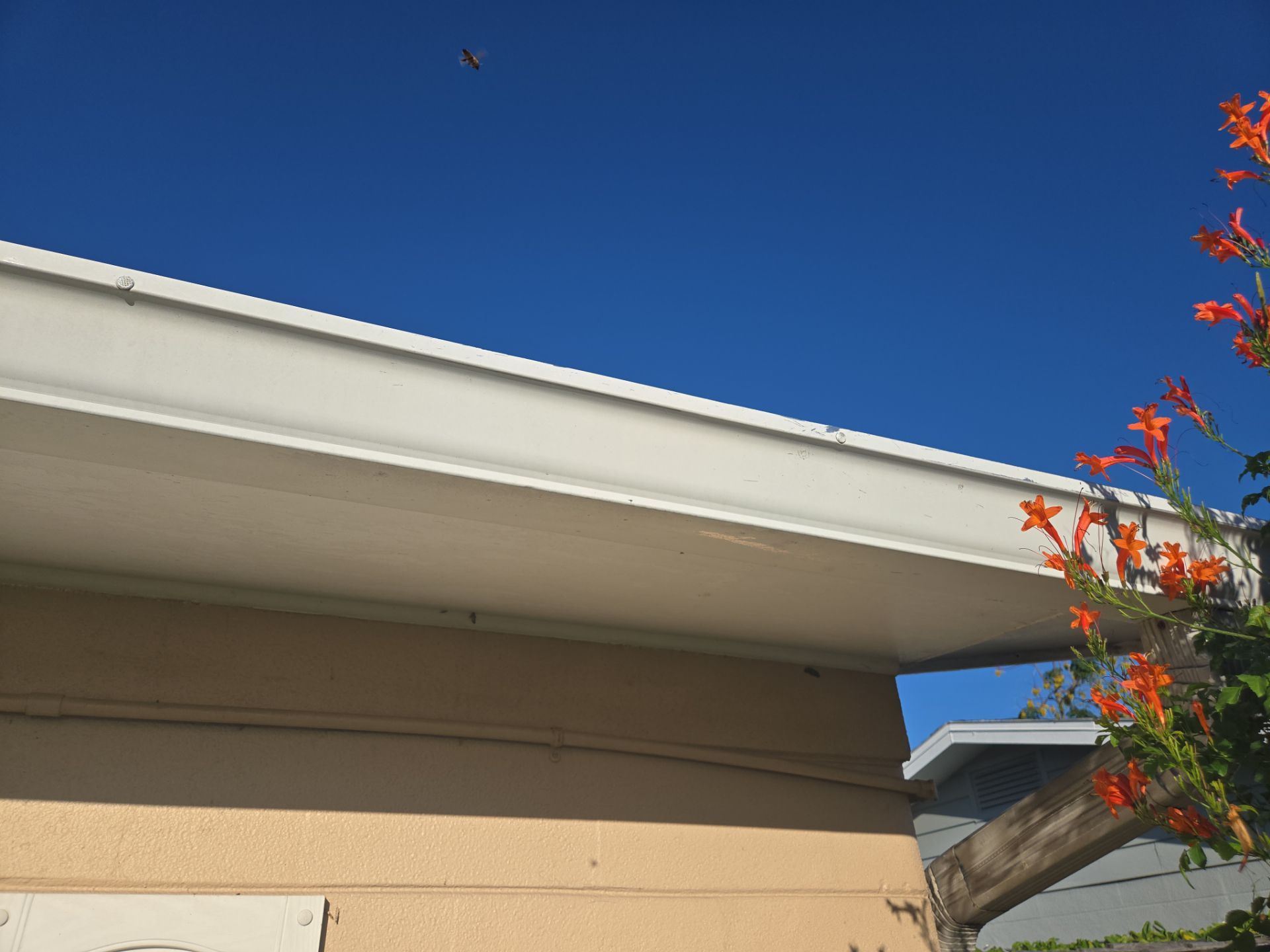 Project in Largo 33778 by Mitchell Roofing Company LLC