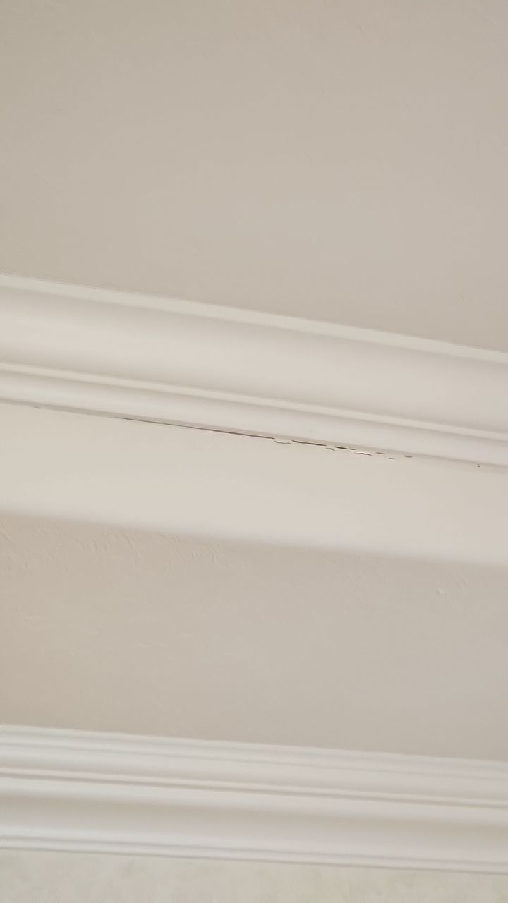 HVAC MOLD ASSESMENT by Building performance Solutions LLC