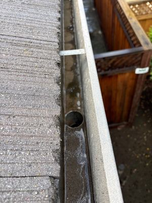 Moss Removal