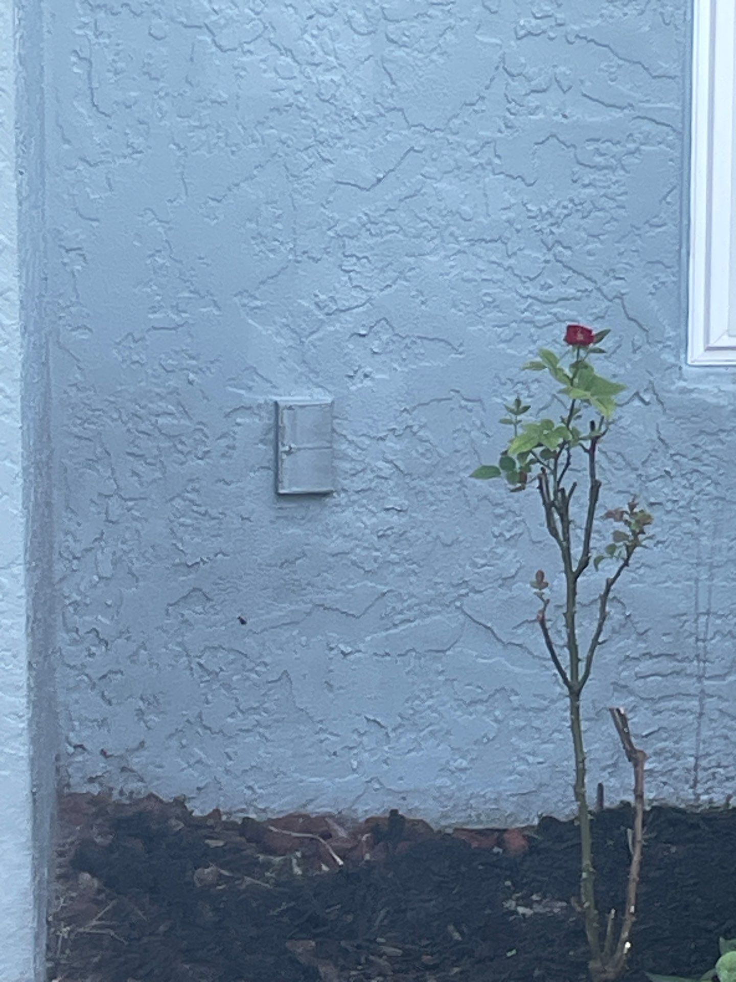6-inch Seamless Gutters for Beach Cottages in Palmer Ranch FL by Gutter Professors