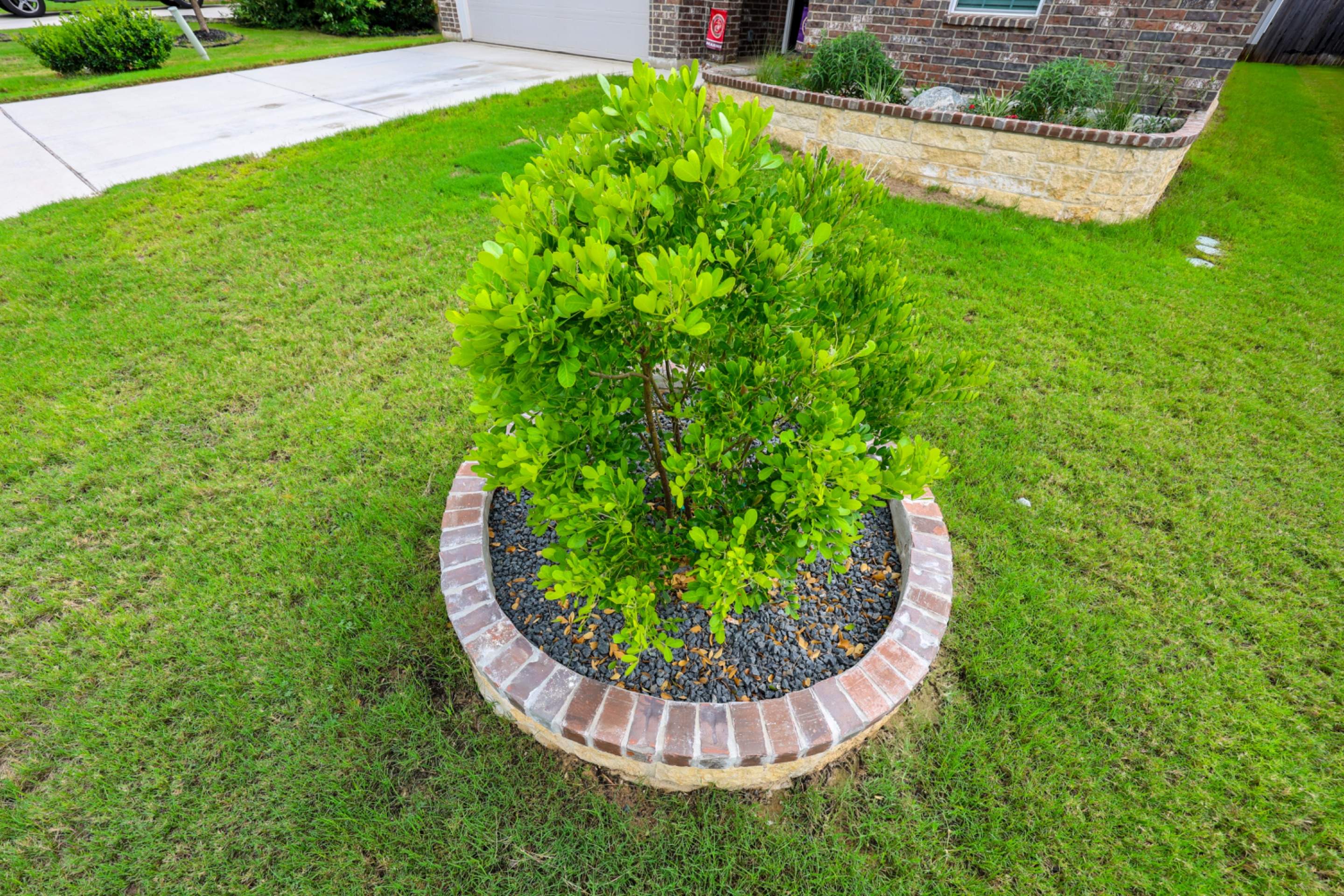 Wortham Oaks - San Antonio, TX by Hole In One Lawns, LLC