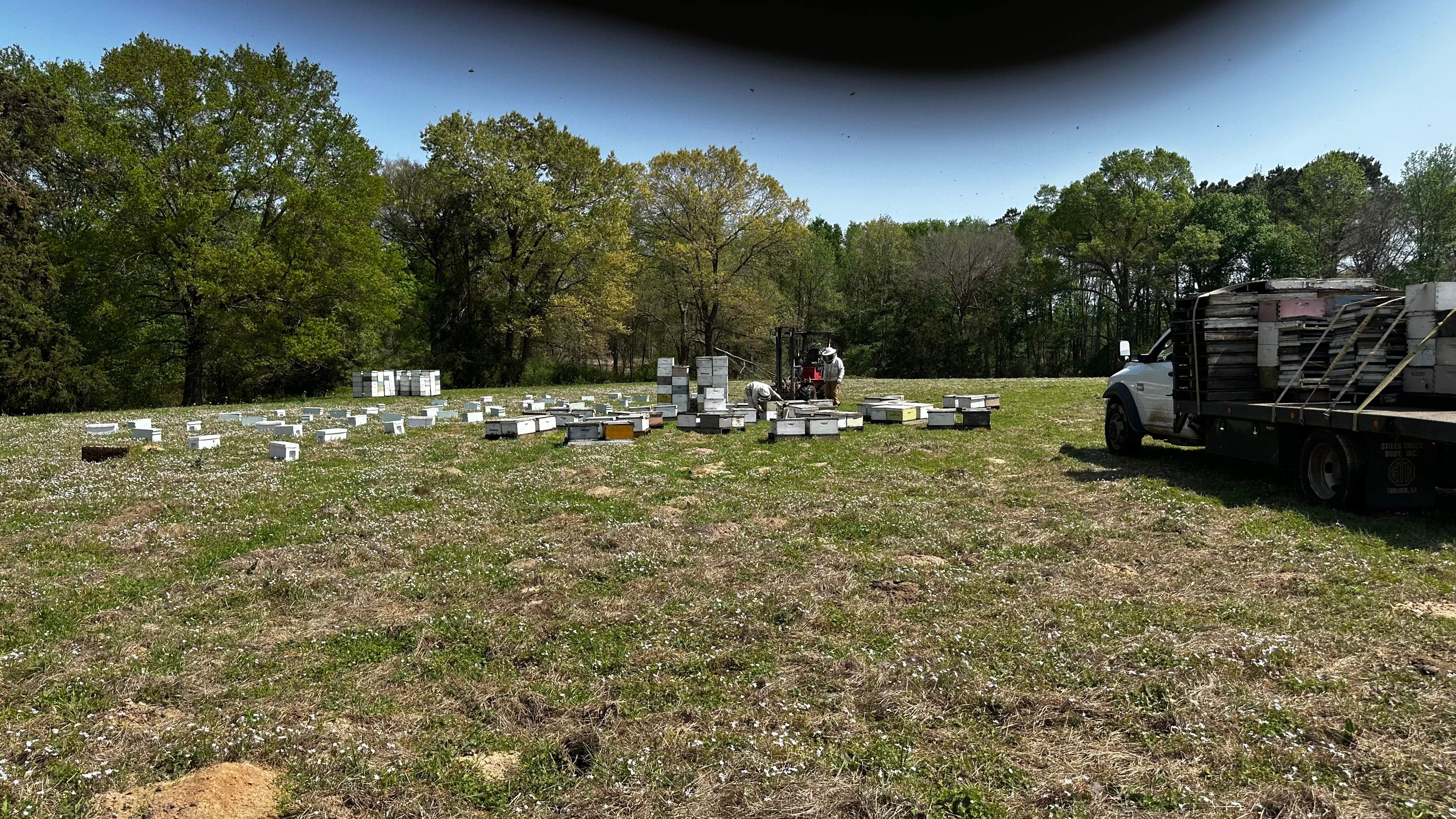 Traylor's Hay Meadow Apiary by Rockwall Honey Bee Company