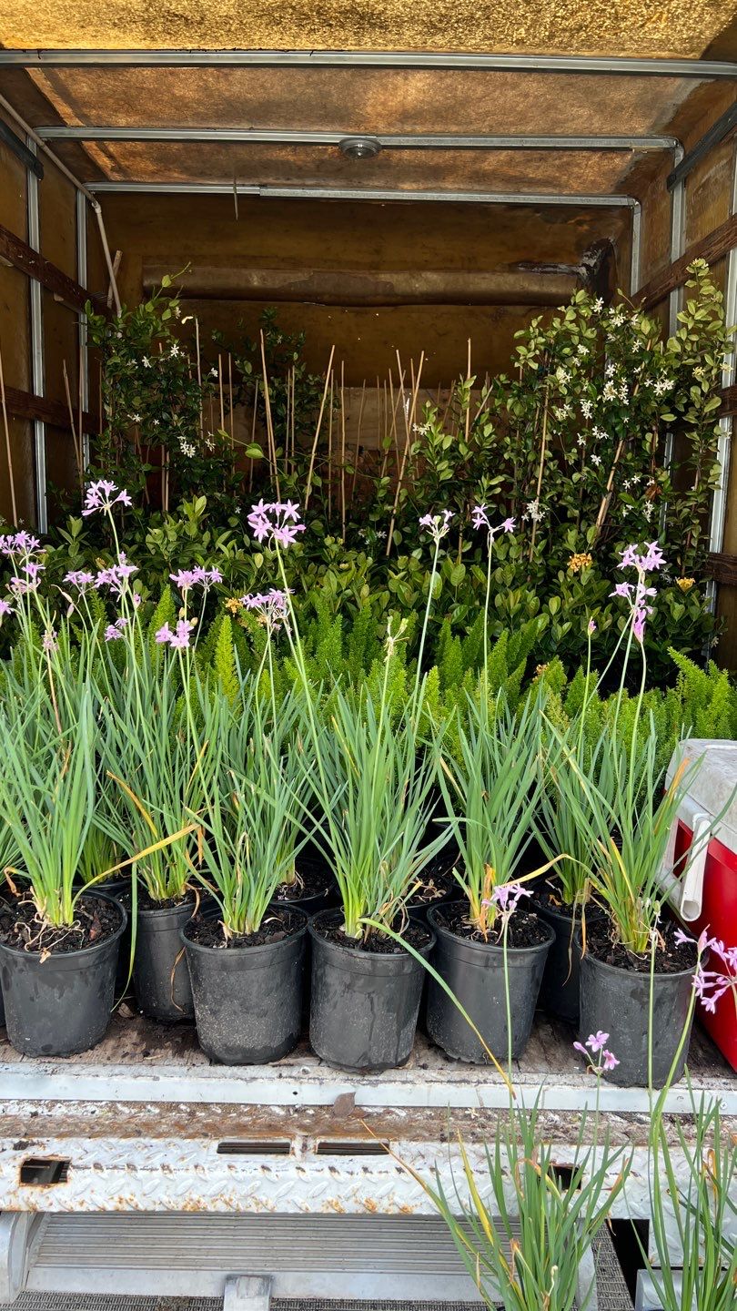 Landscape Install | Berkman Plaza by ProGreen Services