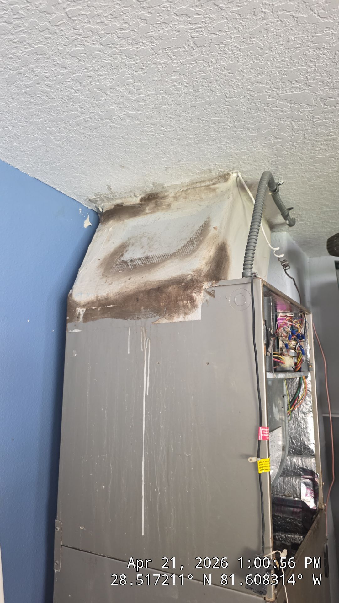 Air Duct Cleaning in Winter Garden by Hygienic Air, Inc