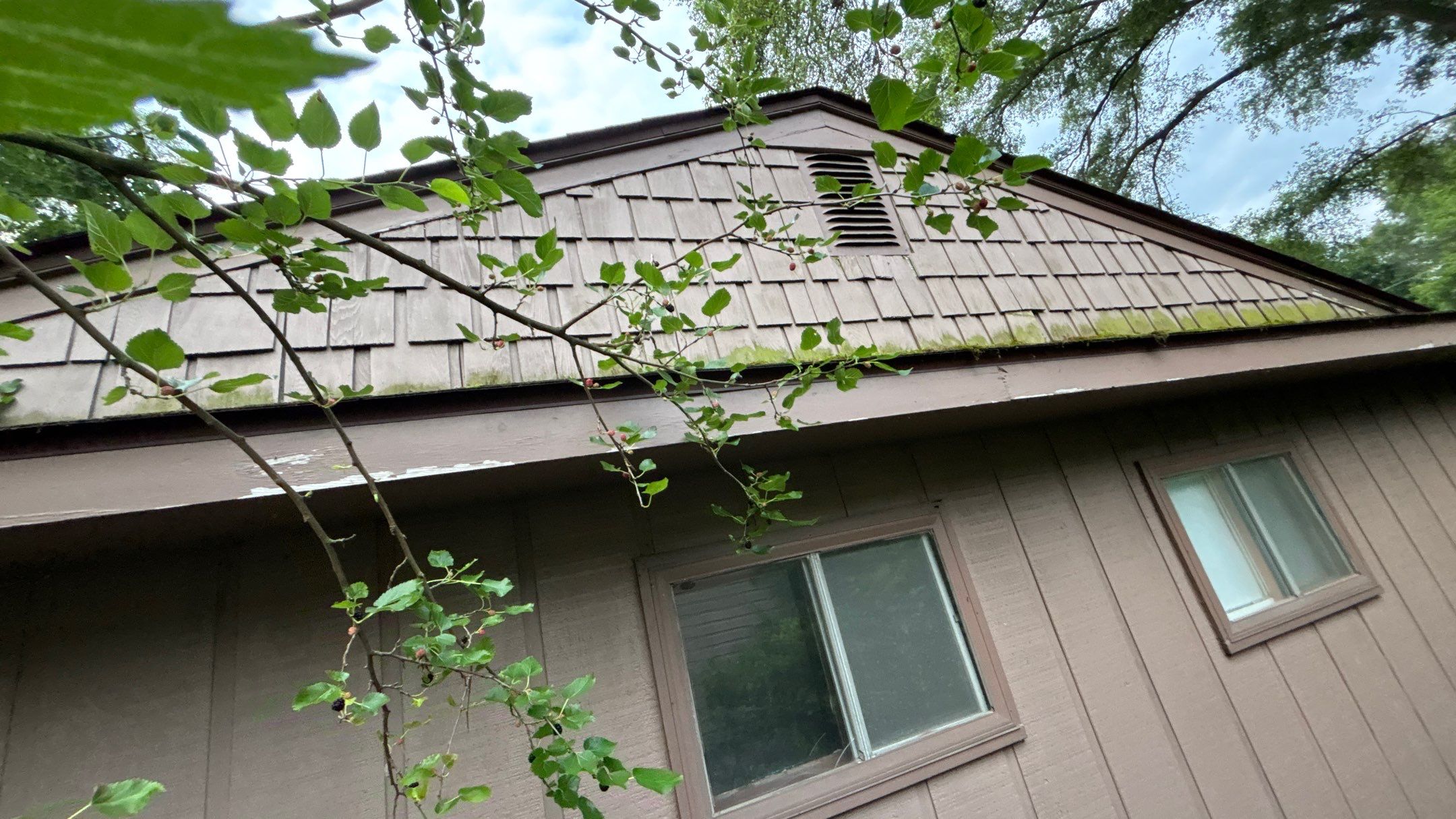 Roof Replacement using Owens Corning Summer Harvest by 180 Contractors