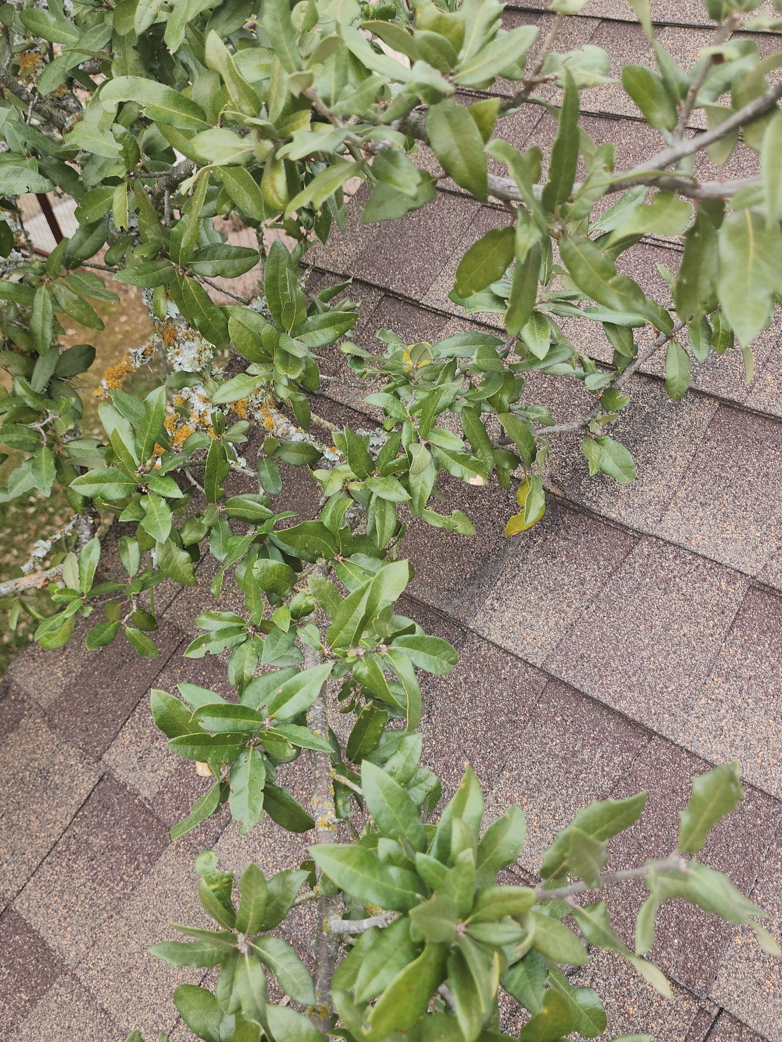 Structural and roof repairs with custom metal work by REPS Austin Area Roofer