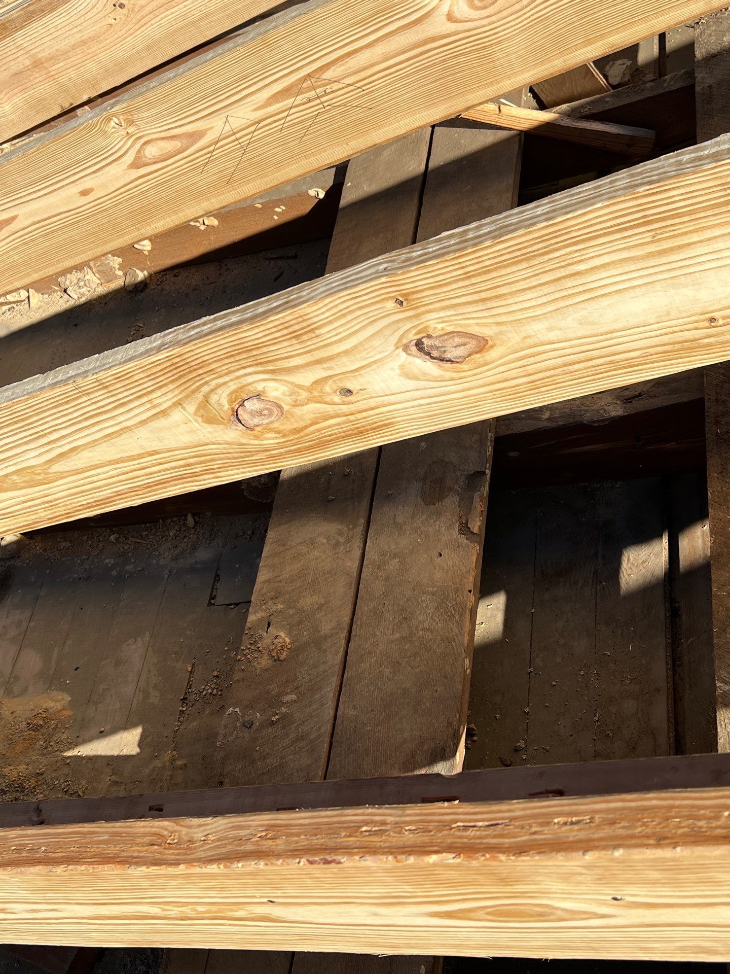 Commercial Metal Roofing Replacement in Adger by The Roofing Dudes