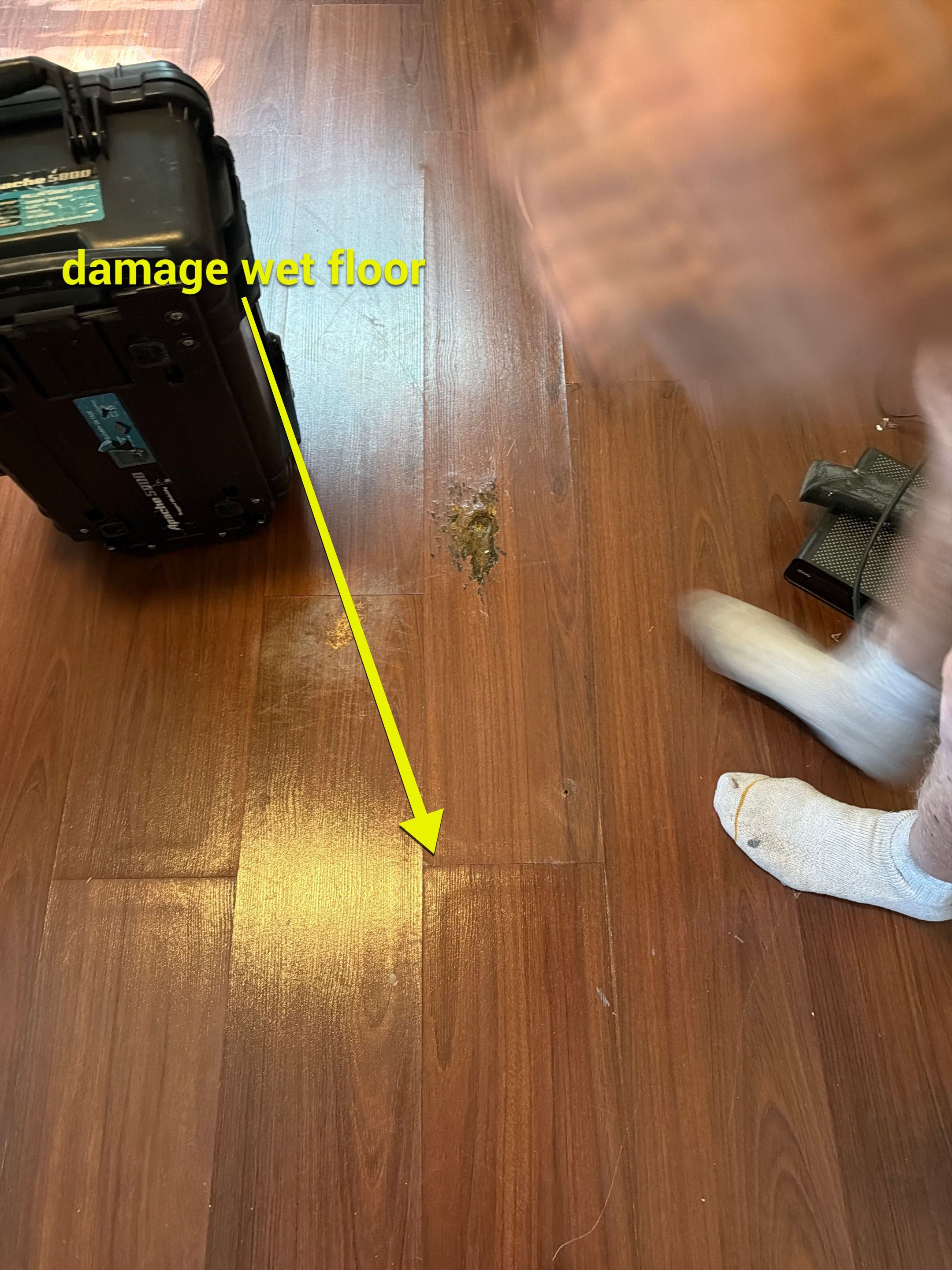 West Palm Beach Mold Remediation and Moisture Assessment by SuperClean 