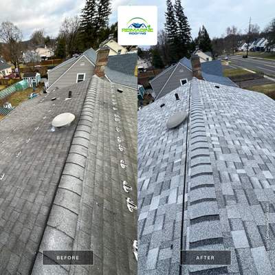 Silver Birch Shingles