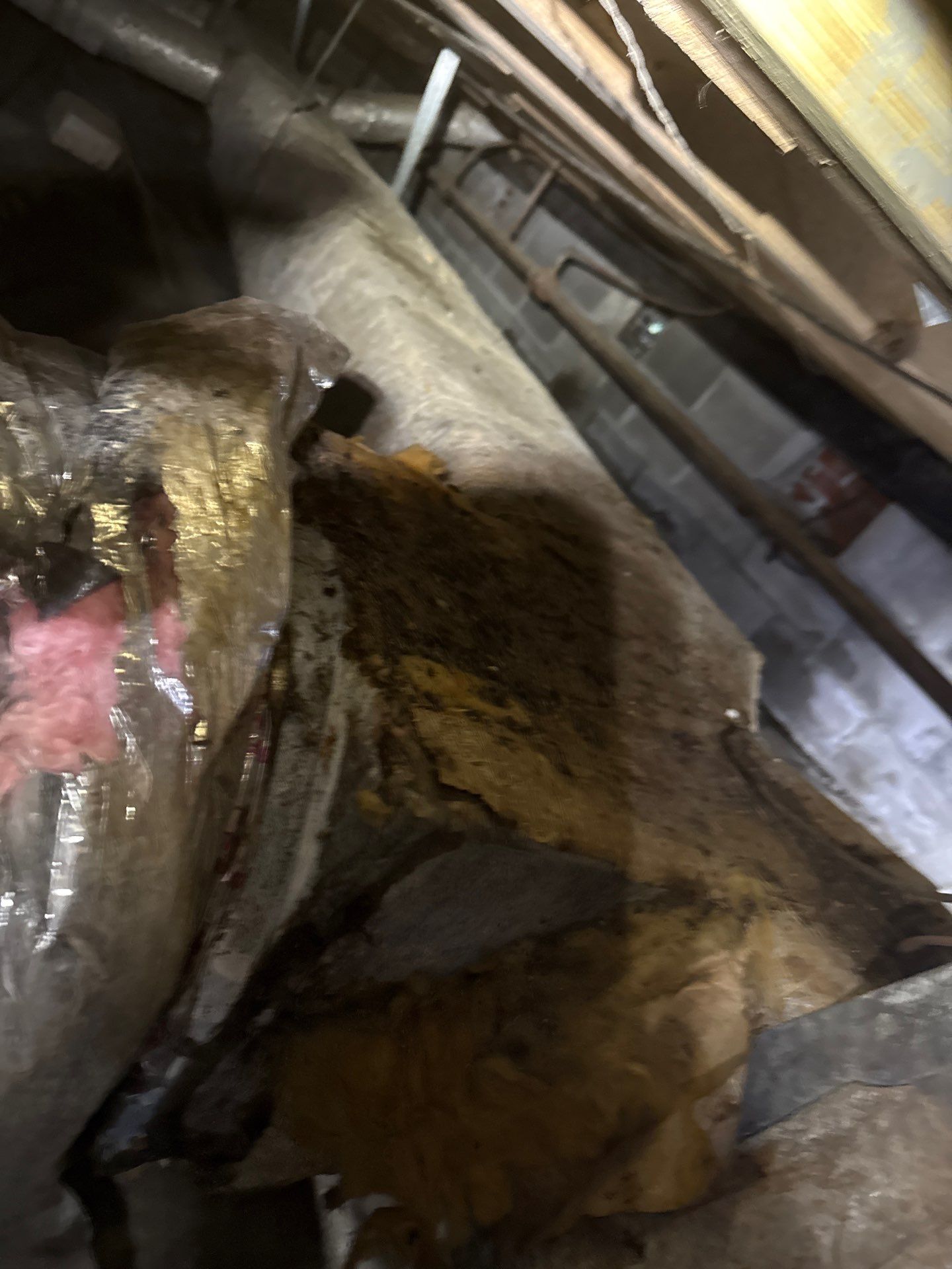 Project in Portsmouth by Patriot Crawl Space Repairs