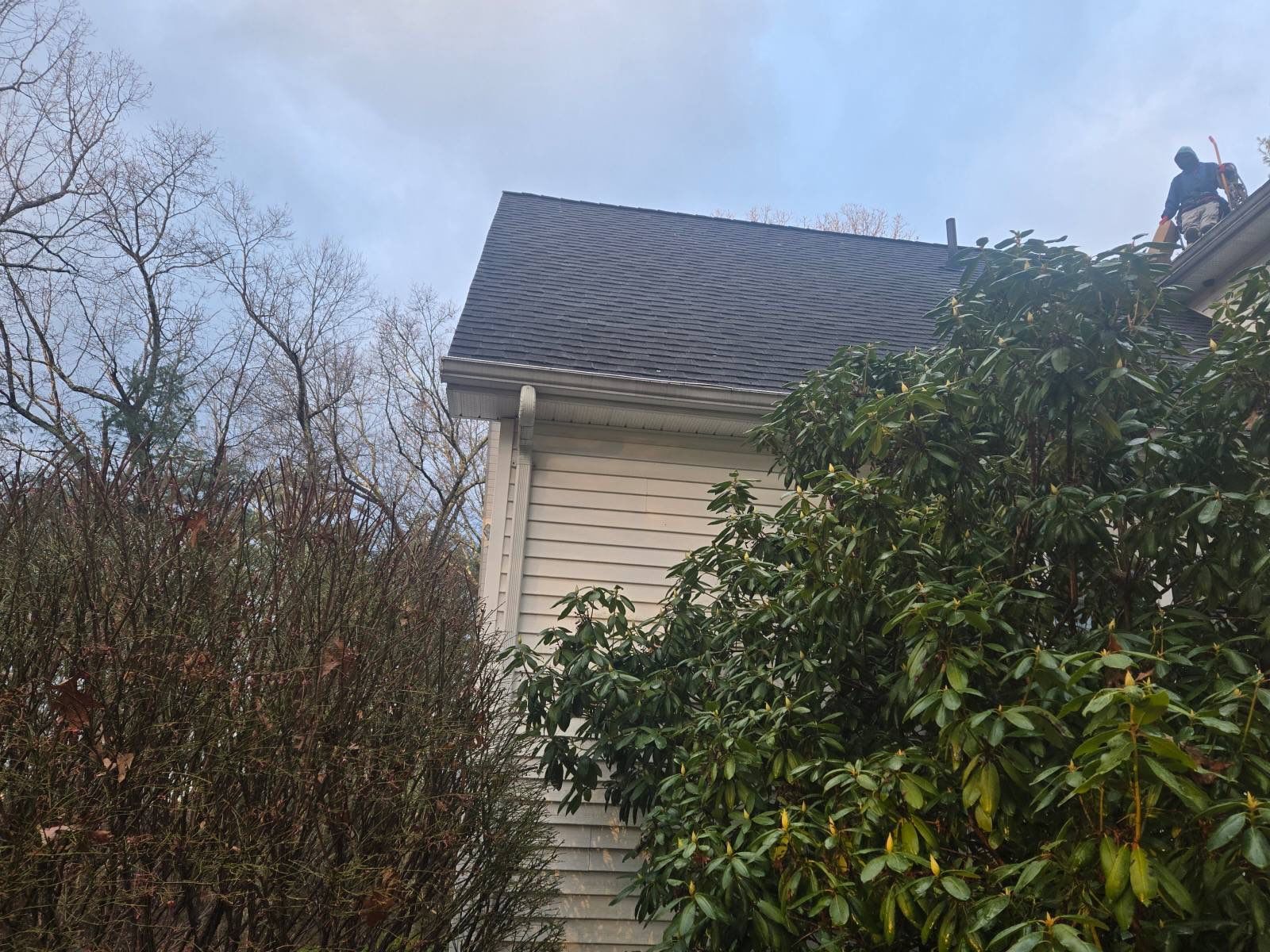 "Lightning-Fast Roof Replacement & Expert Flashing – Customer Delighted!" by Sensible Home Solutions