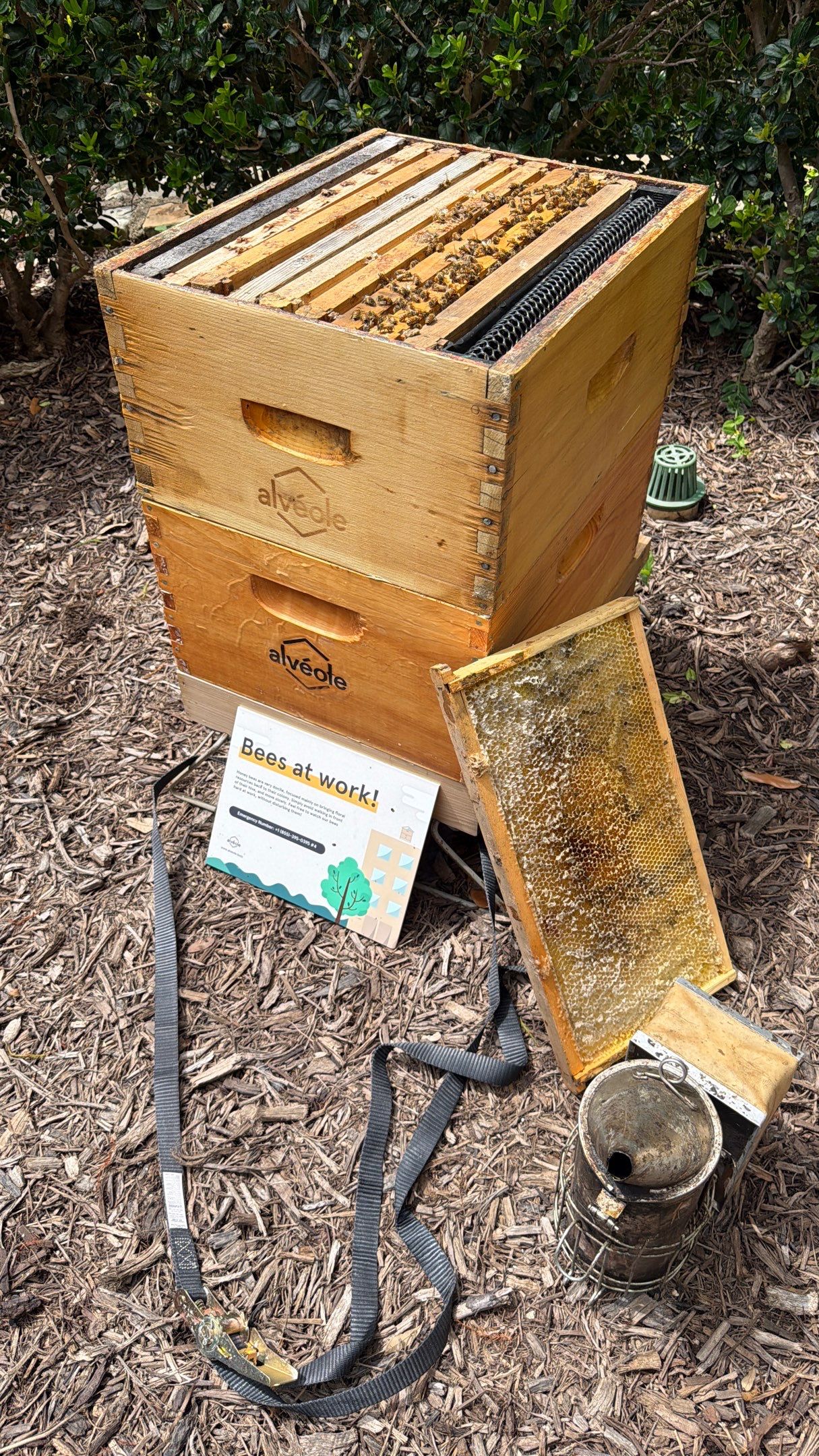 Apartment Retreat for Honey Bees in Garland by Rockwall Honey Bee Company