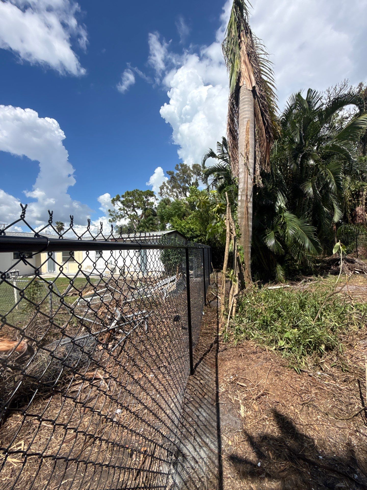 Black Chain Link Fence Installation and Site Clearing in Nokomis by True Fence LLC