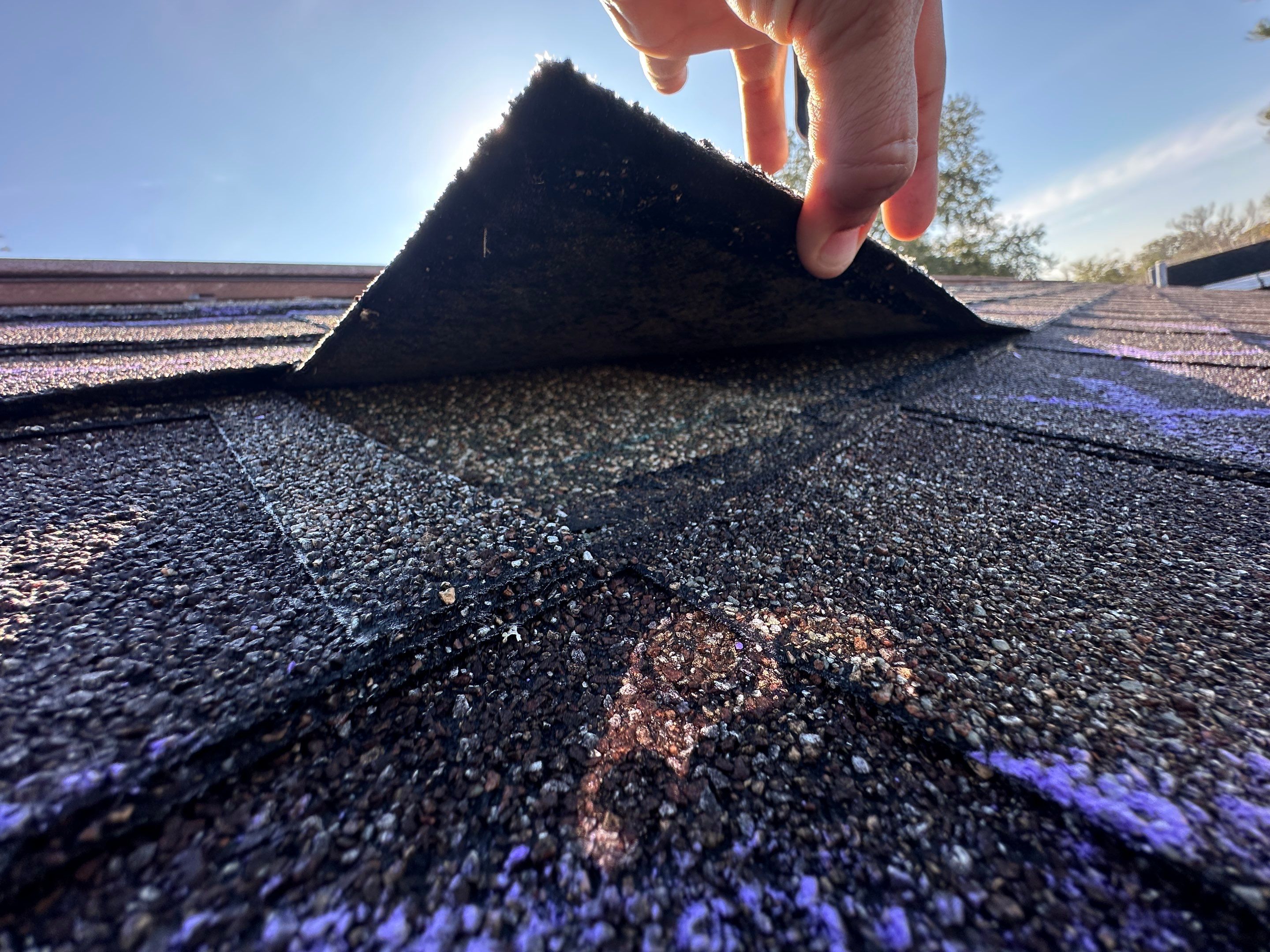 Water Damage Claim in Holiday by FLAPA & KeyStone