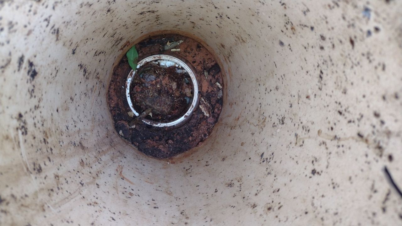 Project in Edmond by PRO-ROOTER
