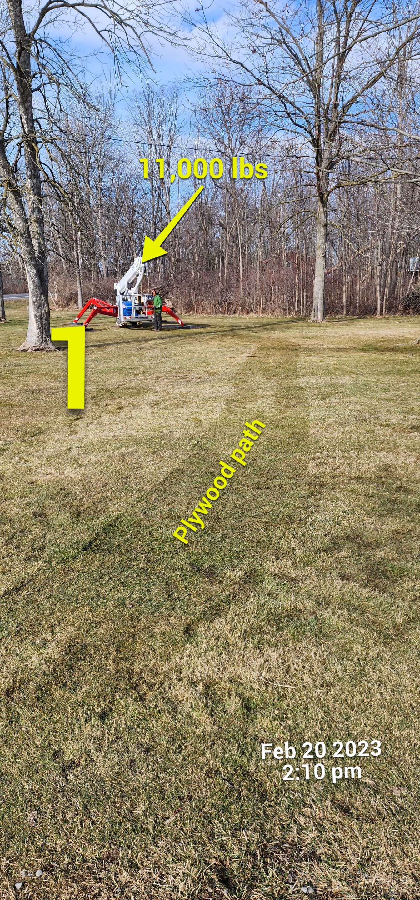 Tree Removal using Ground Protection  by Treeman Tom LLC