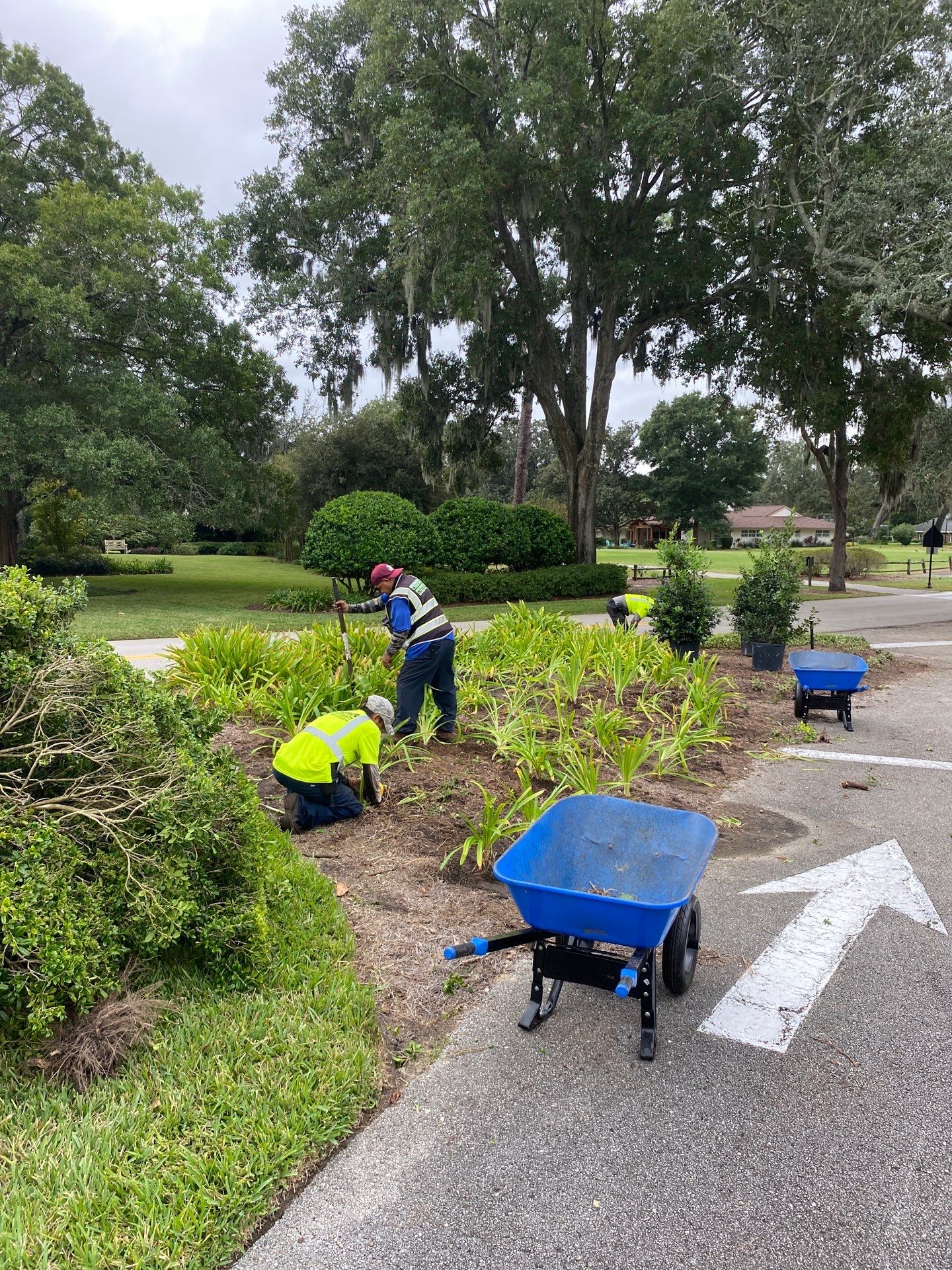 Deerwood Community | Island Landscape Replacement by ProGreen Services