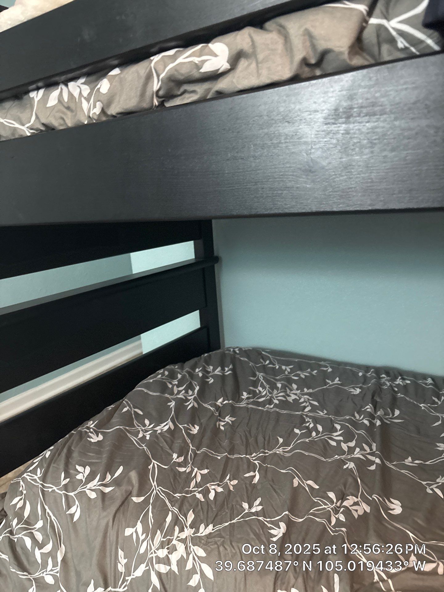 Joness Backyard by CompanyCam Sales Demo