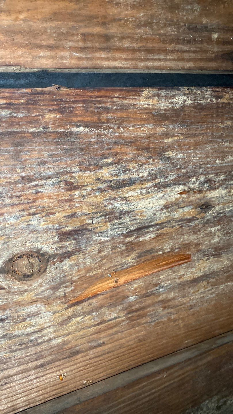 Arlington: CertainTeed Landmark Pro Designer Shingles in Max Def Shenandoah by RM Banning, Inc.