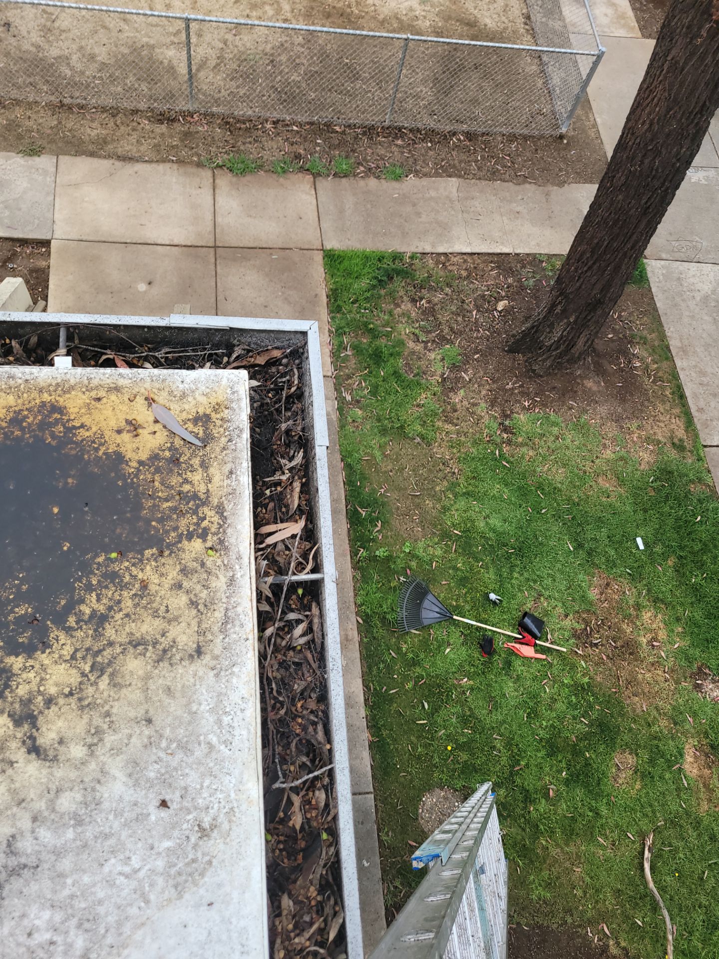 Commercial gutter cleaning Carlsbad & Oceanside, CA before photo with filled gutters