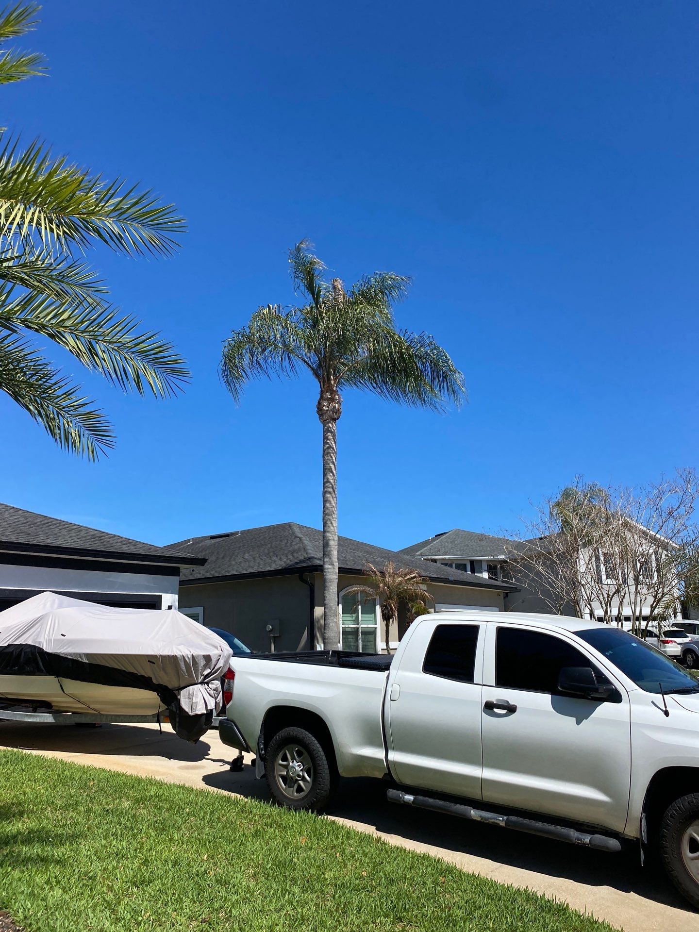 Residential | Tree Service by ProGreen Services