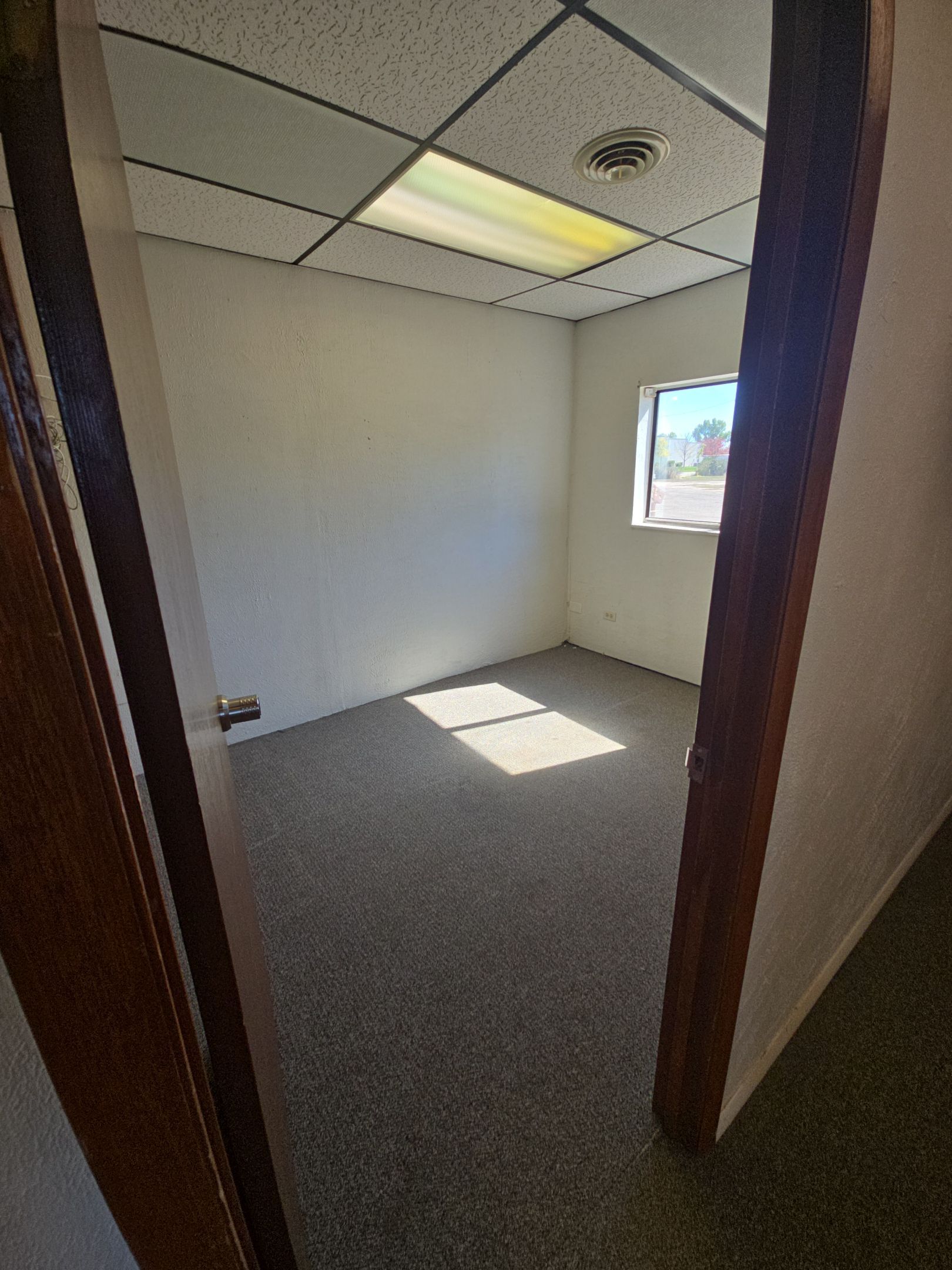 From Dull to Dynamic: Interior Office Transformation by J&M Painting LLC