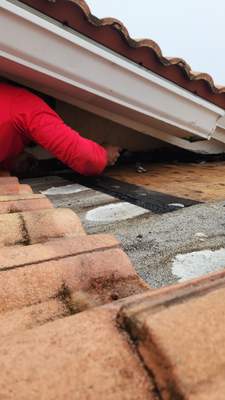 Roof Repair