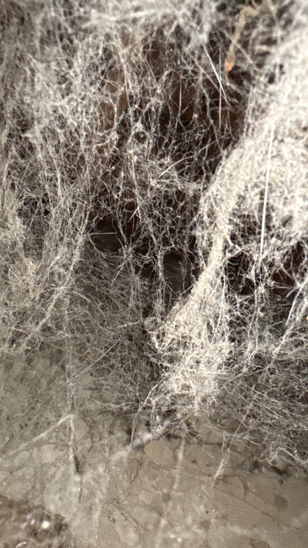 Residential Air Duct Cleaning in Farrell, PA by Superior Air Duct Cleaning