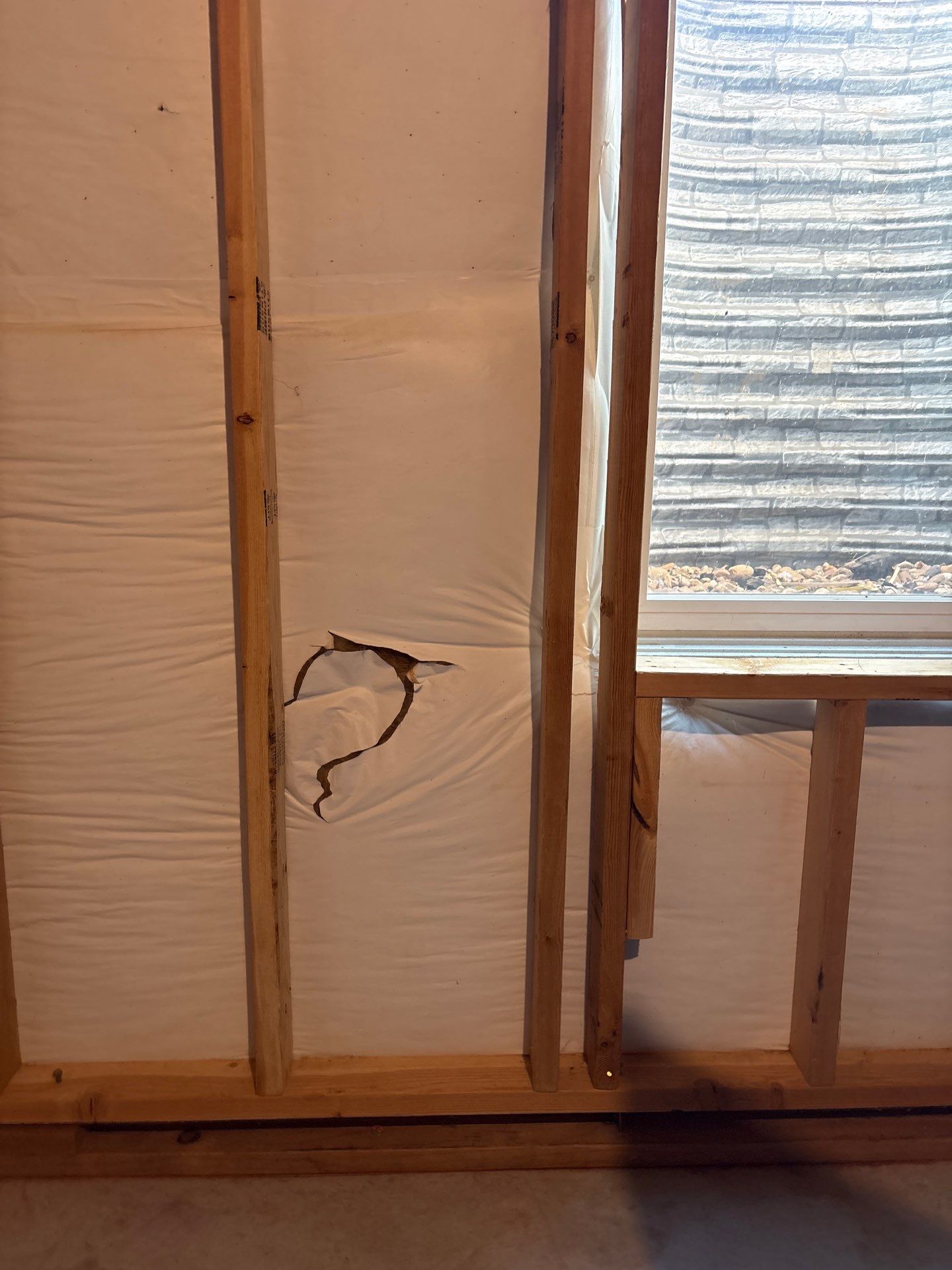 Basement Egress Window and Interior Wall Framing in Wellington by CompanyCam Sales Demo