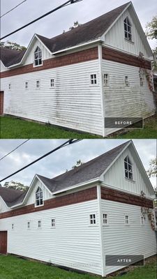 Project in Lake Villa