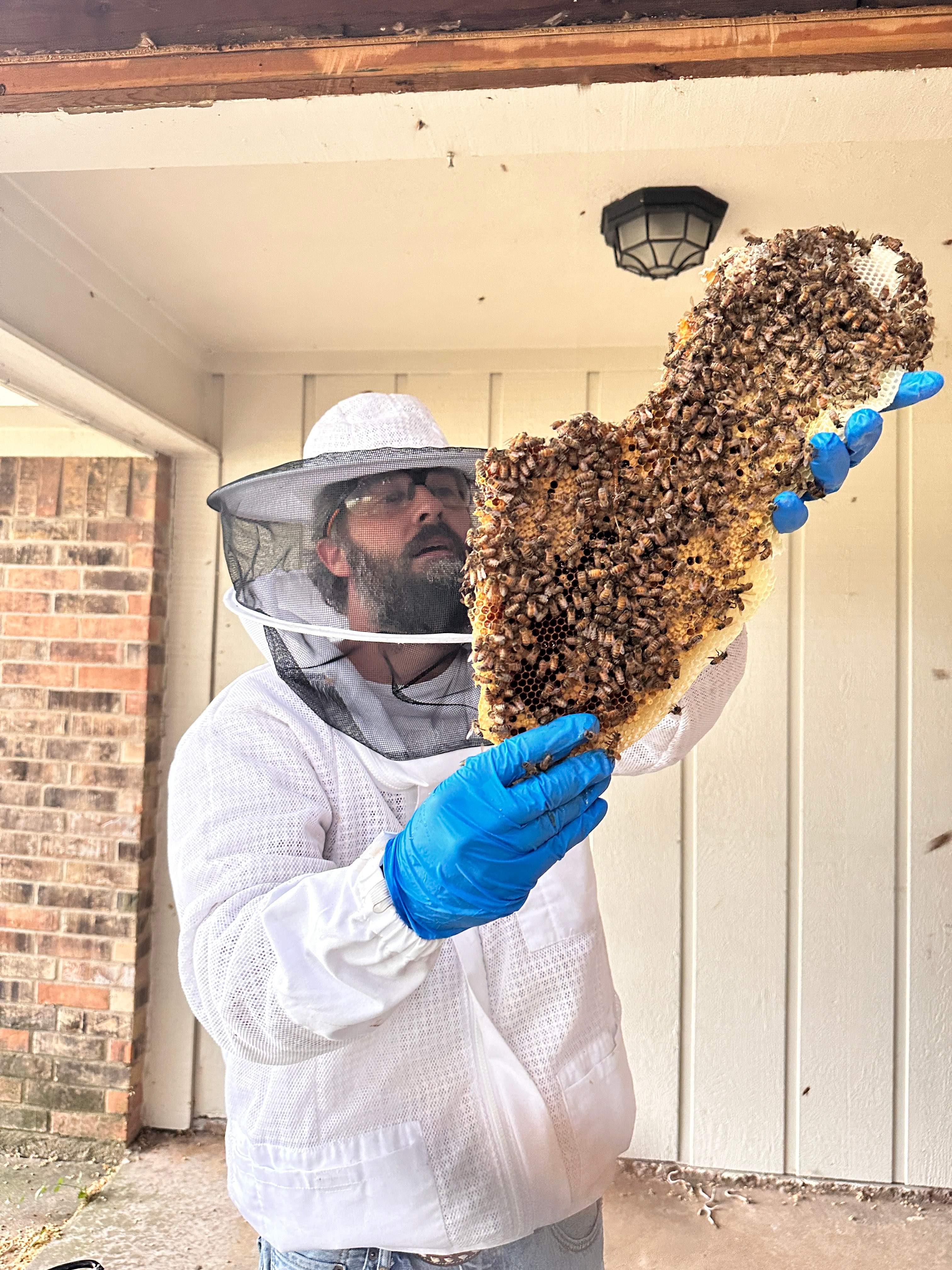 Yes, Professor. by Rockwall Honey Bee Company