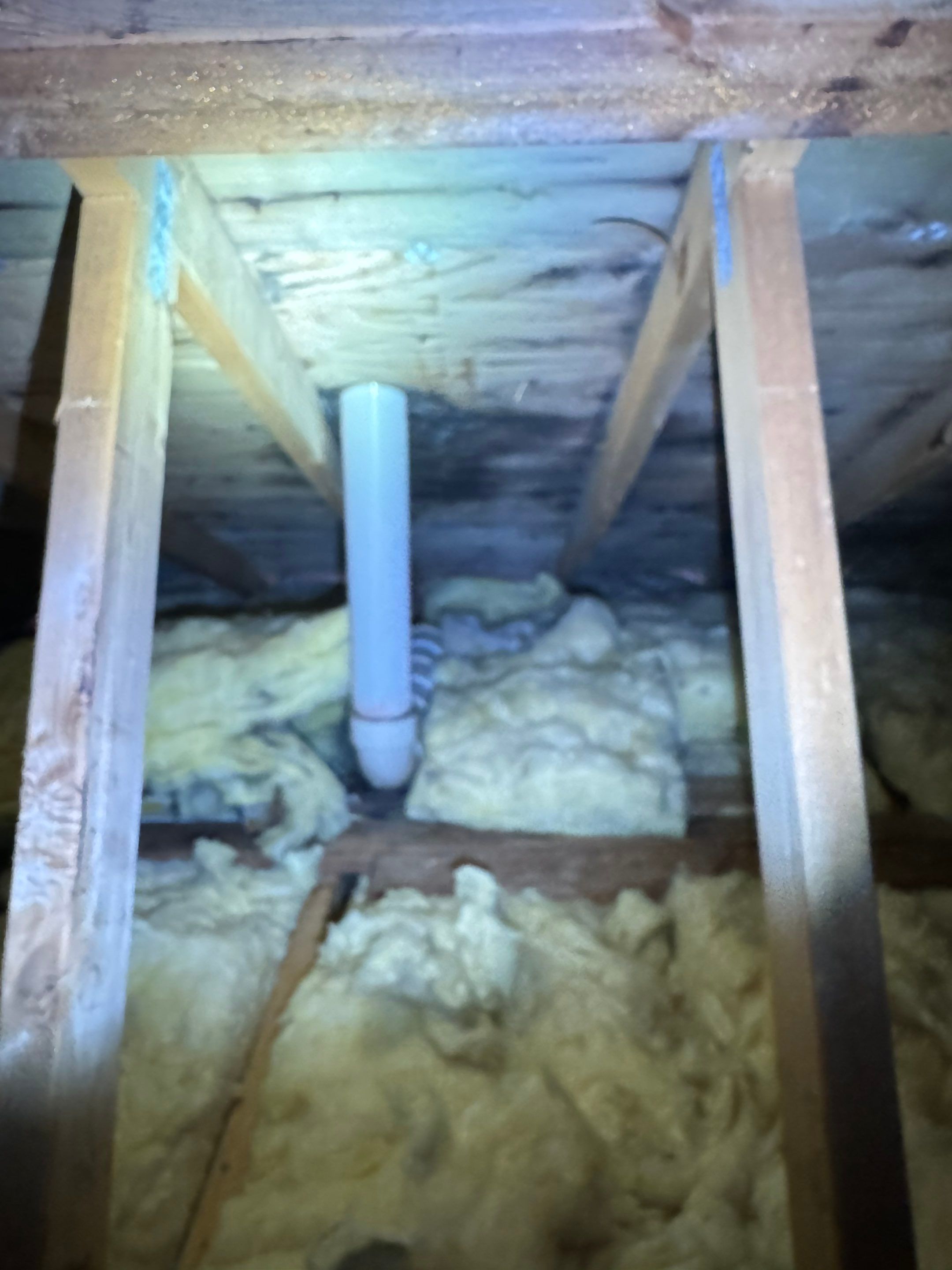Attic & Sunroom Mold Remediation by Home Guarantee, LLC