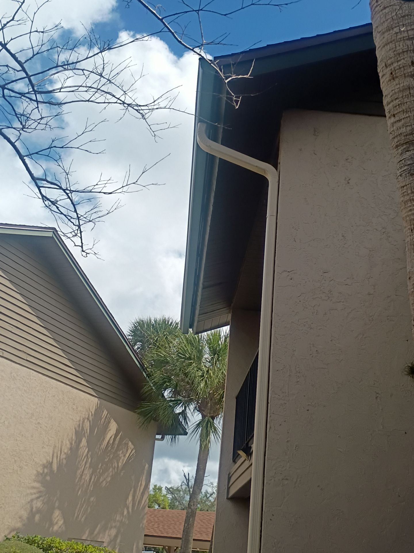 Leaf Guard using Gutter Guards & 3X4Downspoutsts in Sarasota FL by Gutter Professors