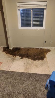 Water Damage Restoration