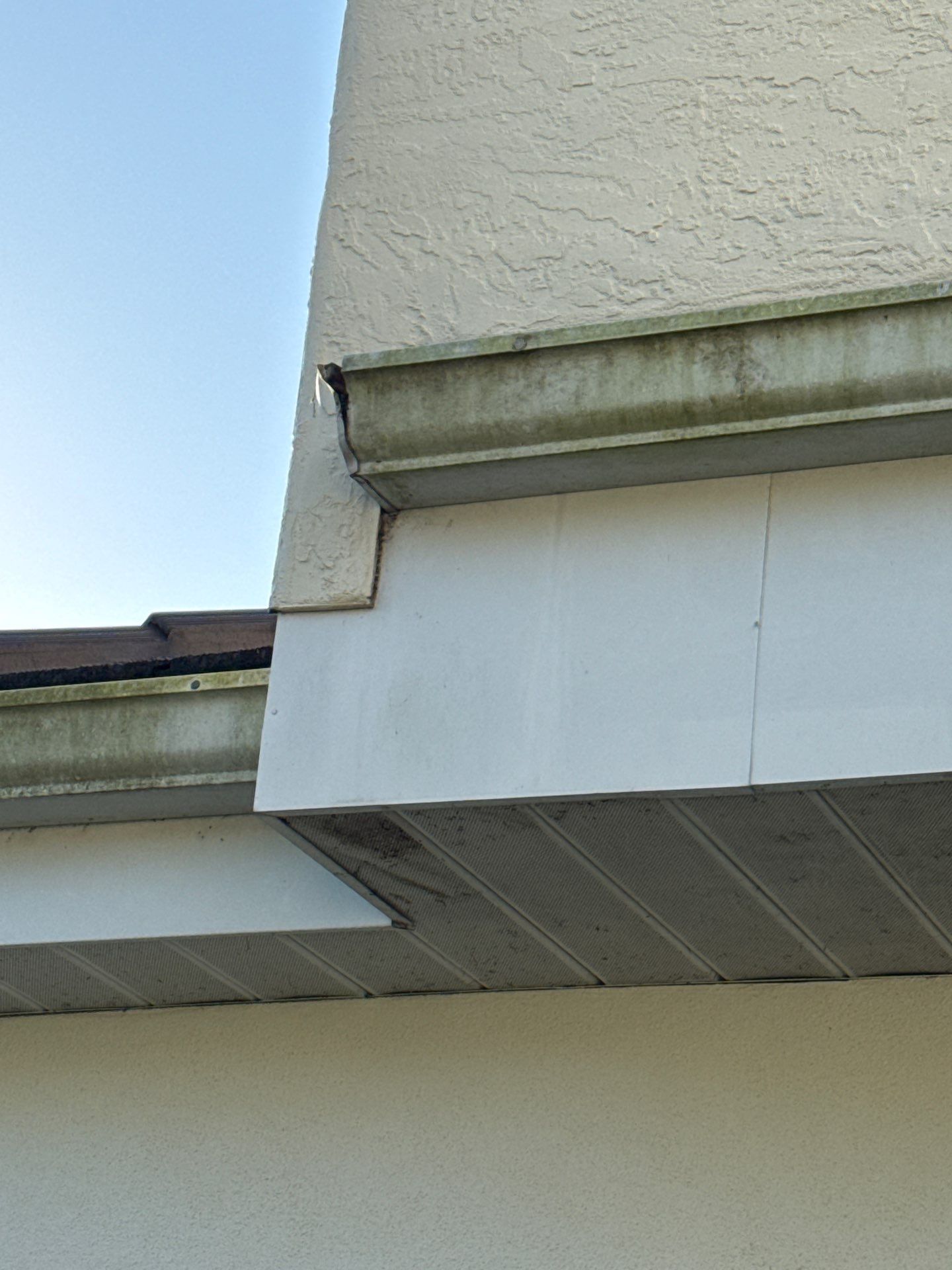 Clean and Repair Gutters in Osprey FL by Gutter Professors