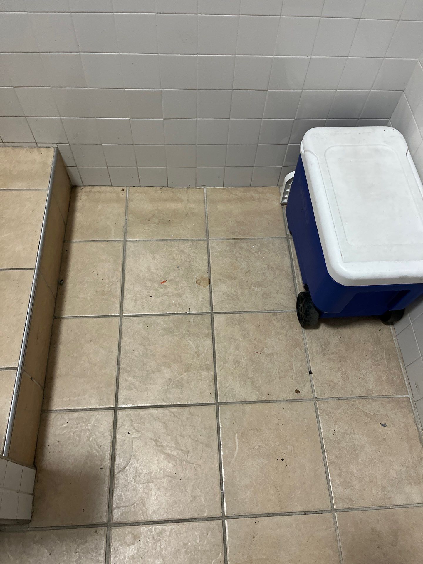 Project in Chicago by Xo Clean Services 